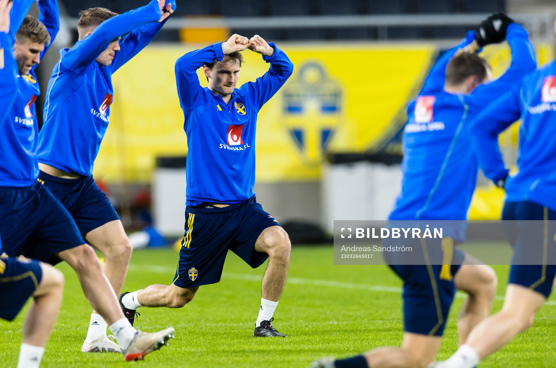Hjalmar Ekdal of Sweden