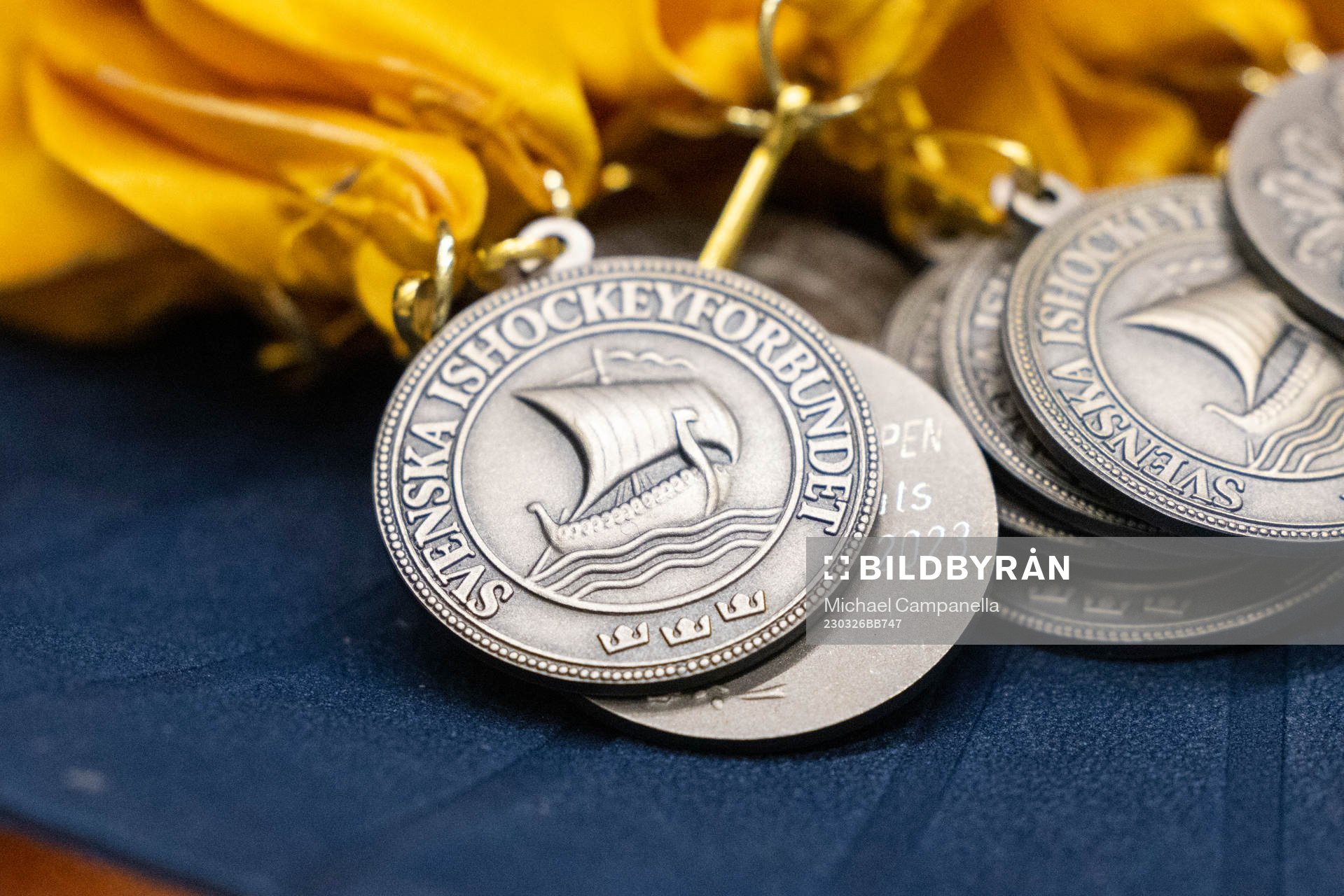 Ishockeyförbudets medaljer