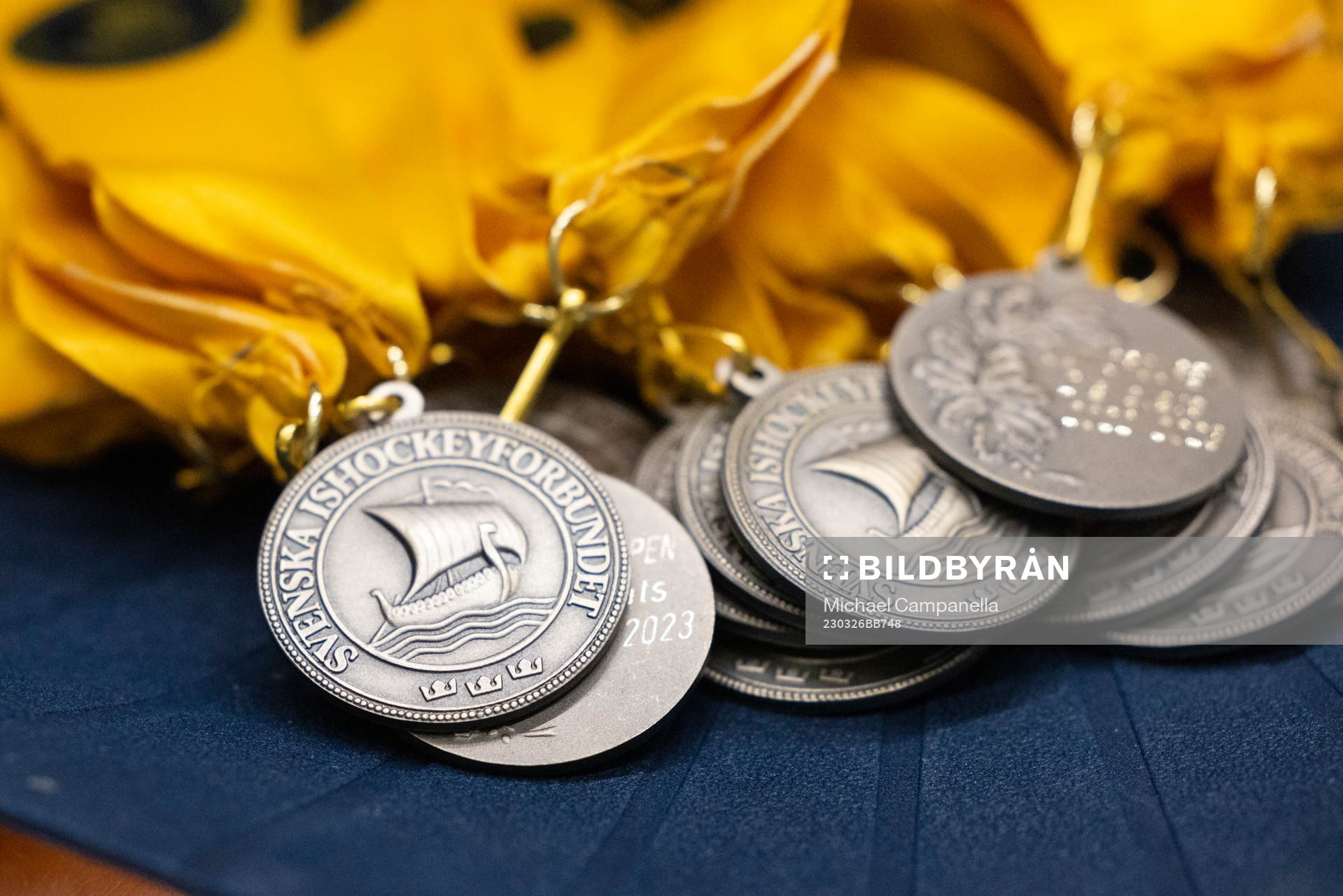 Ishockeyförbudets medaljer
