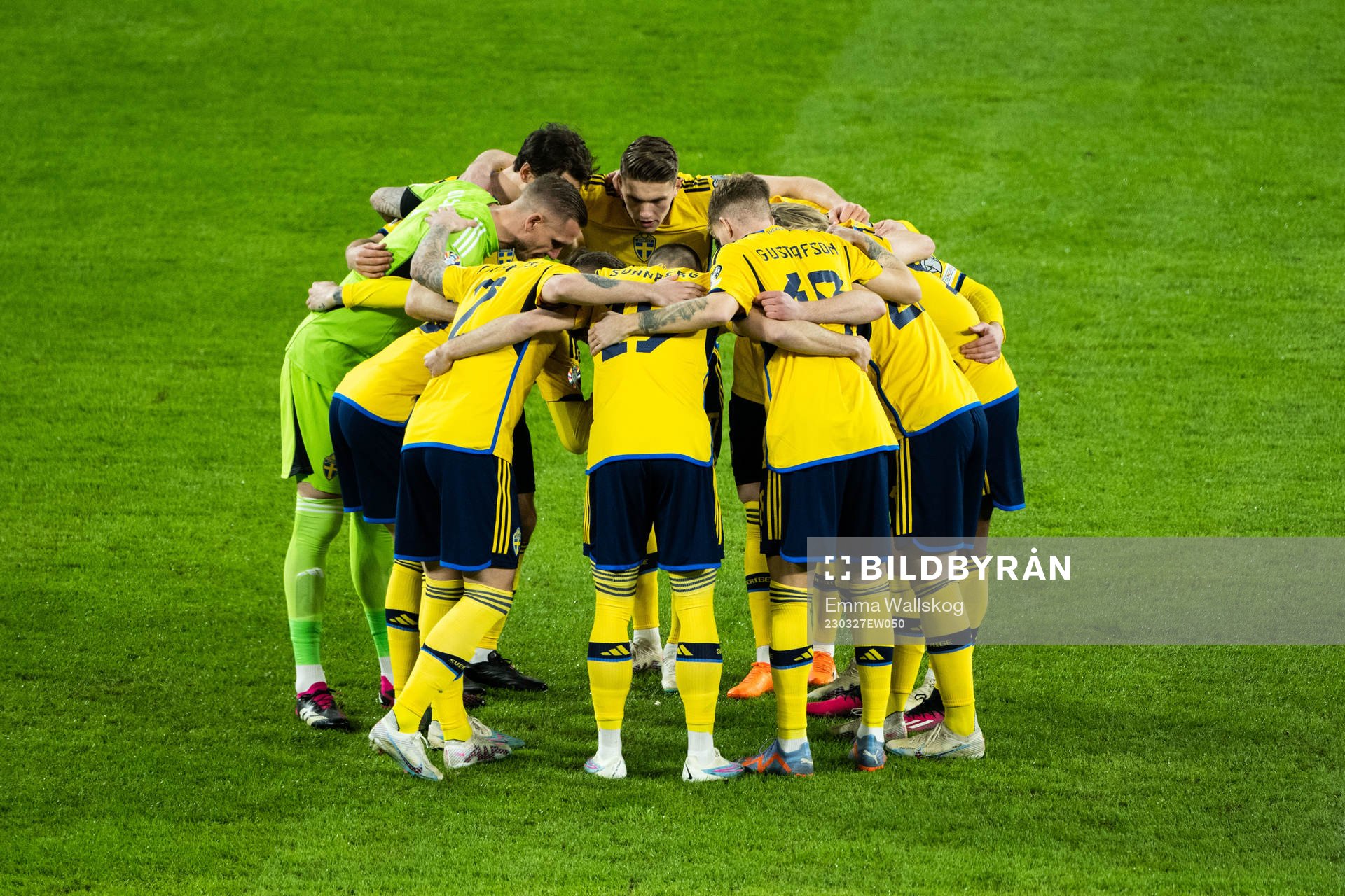 Players of Sweden
