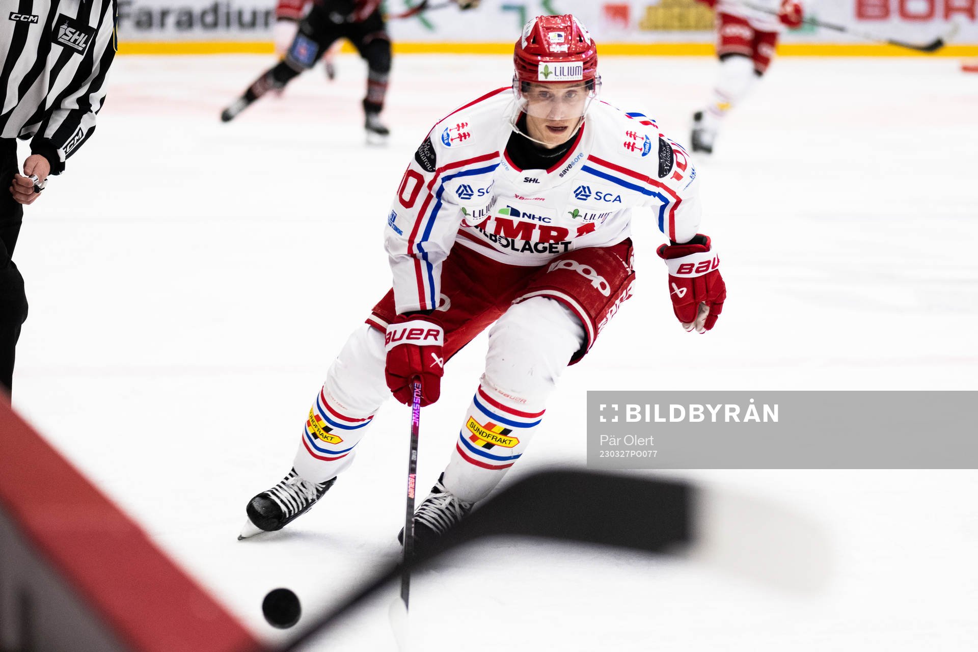 Timrås Robin Alvarez