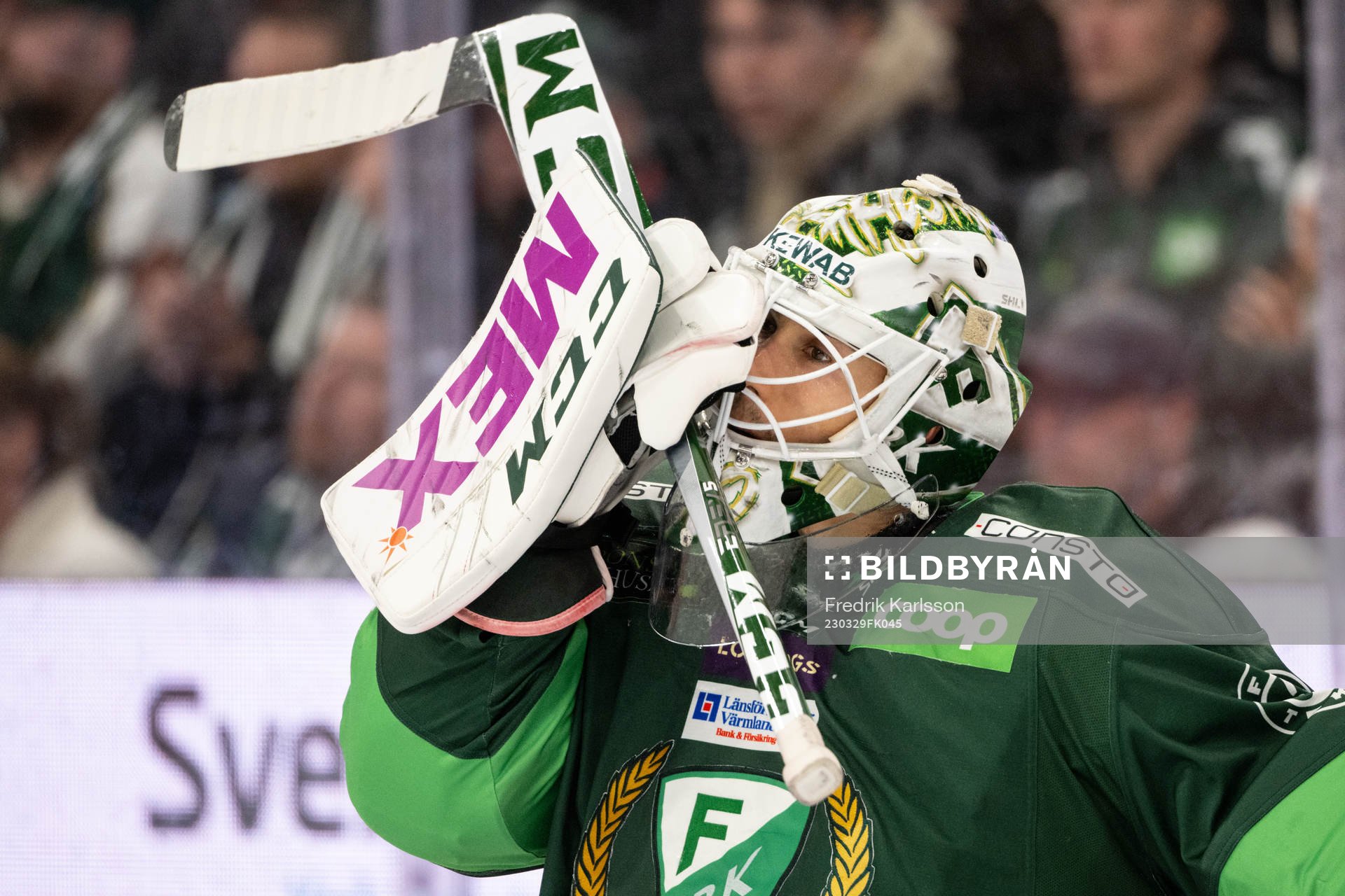 Färjestads målvakt Matthew Tomkins