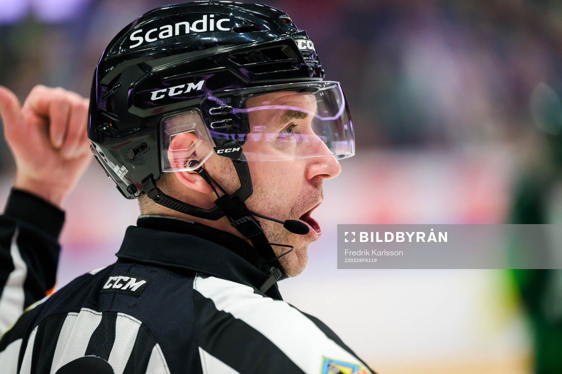 Domare Linus Öhlund