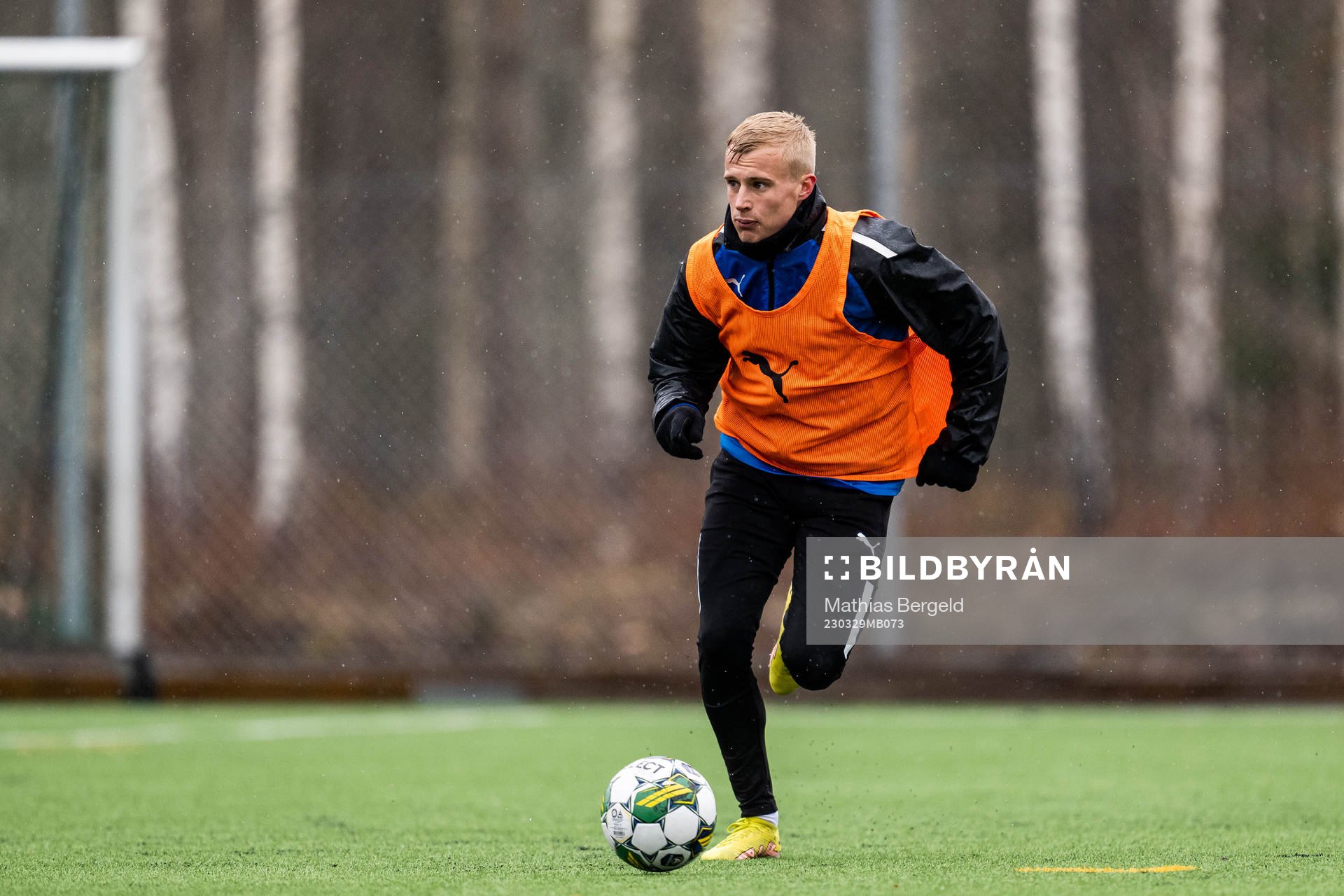 Viktor Bergh