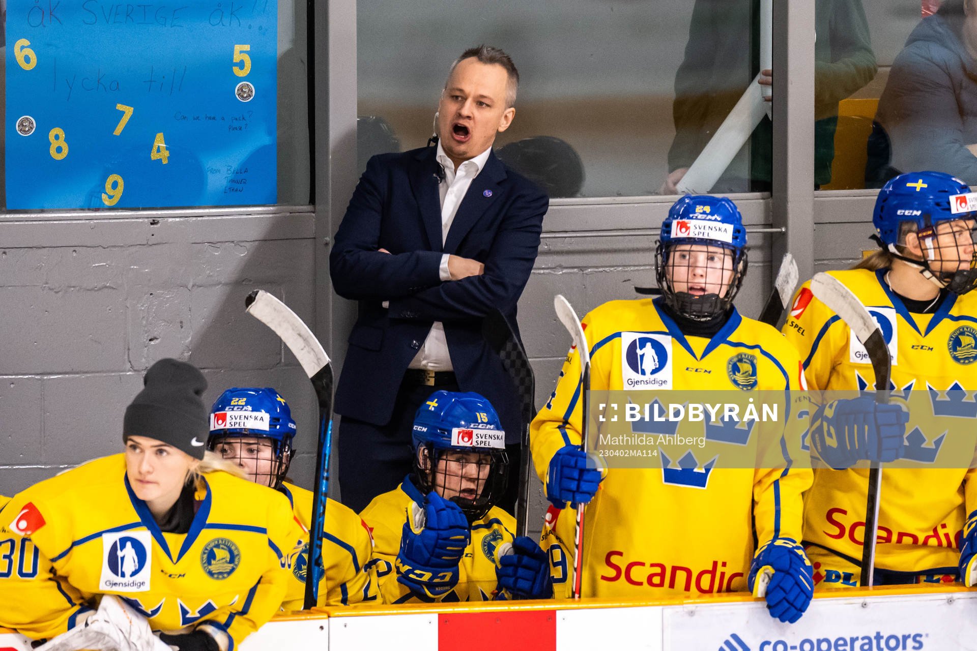 Assistant coach Andreas Karlsson