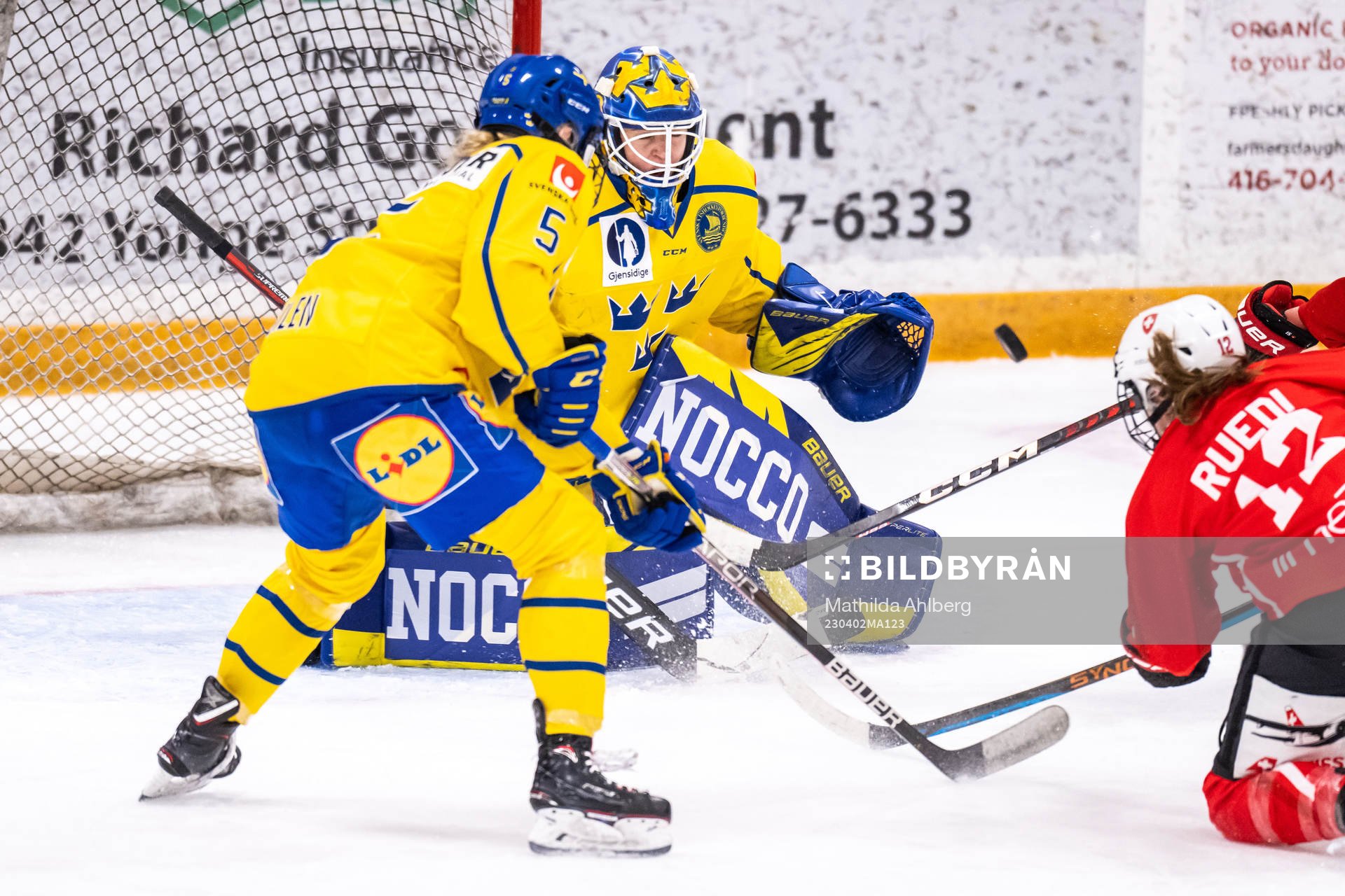Goaltender Sara Grahn of Sweden