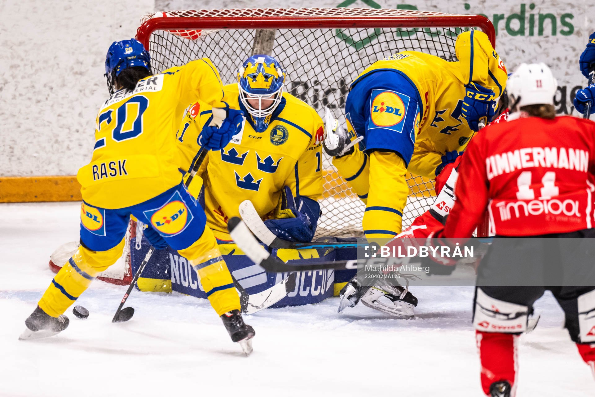 Goaltender Sara Grahn of Sweden