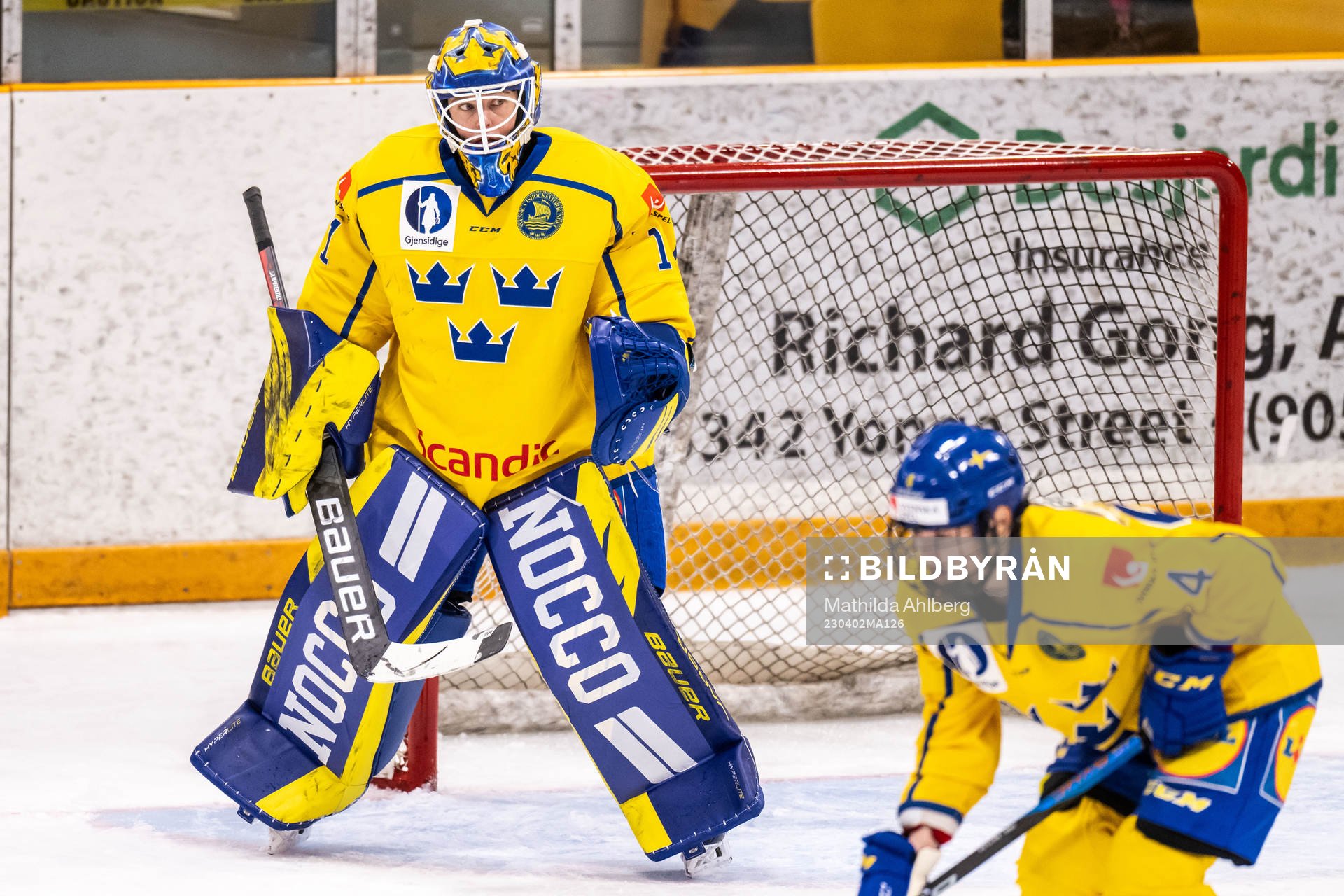 Goaltender Sara Grahn of Sweden