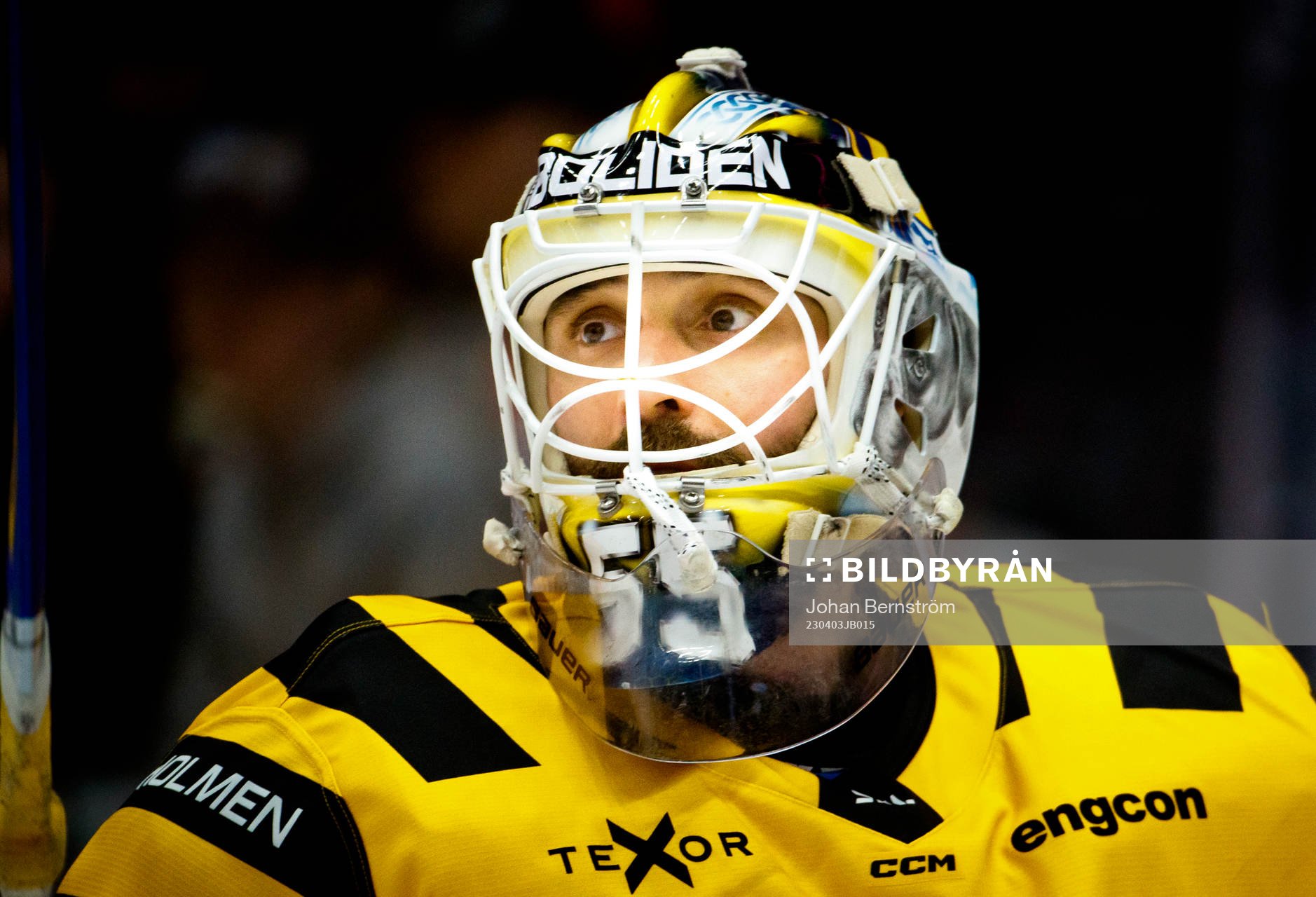 Skellefteås målvakt Alexander Hellnemo