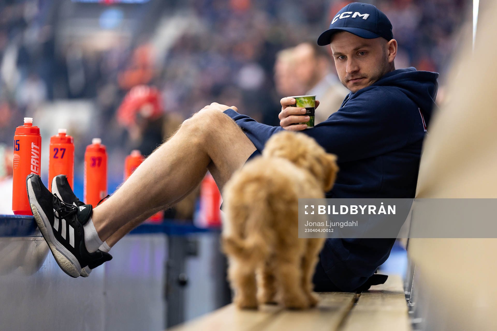 Materialare Johannes Engdahl med hund