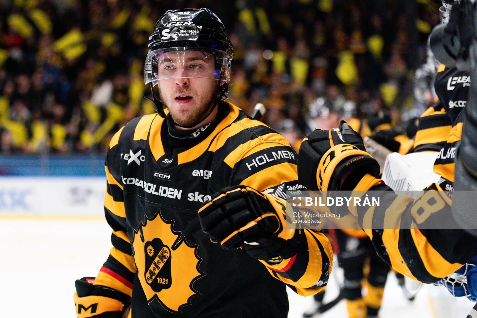 Skellefteås Andreas Wingerli jublar