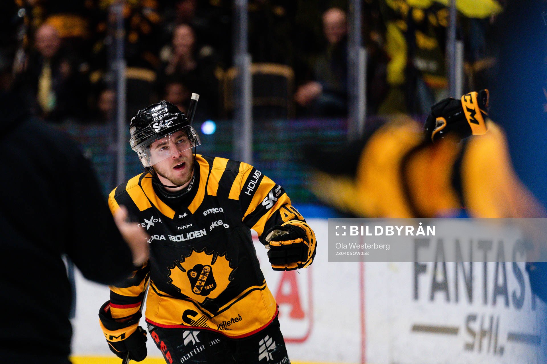 Skellefteås Andreas Wingerli jublar