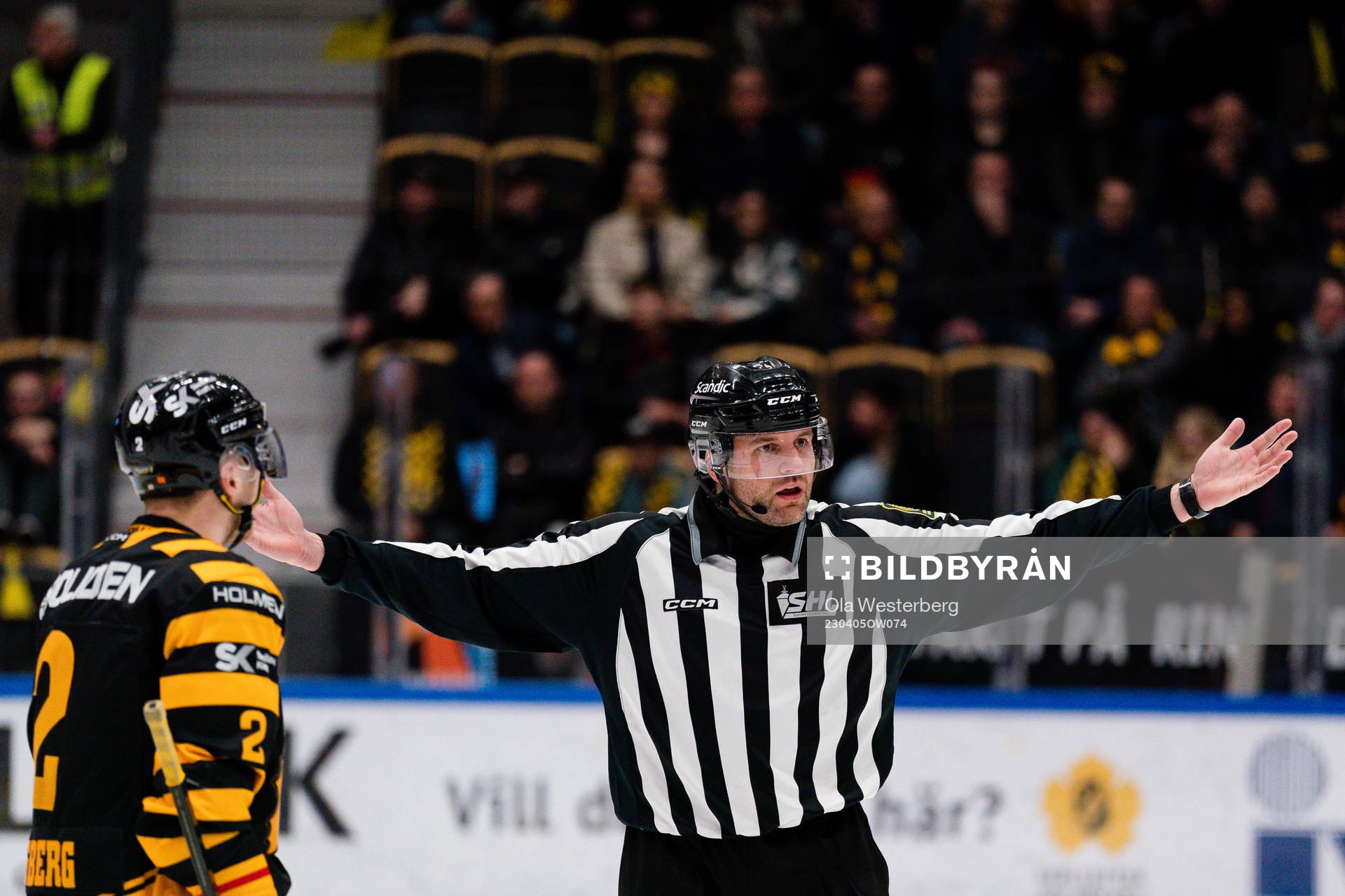 Linjedomare Emil Yletyinen