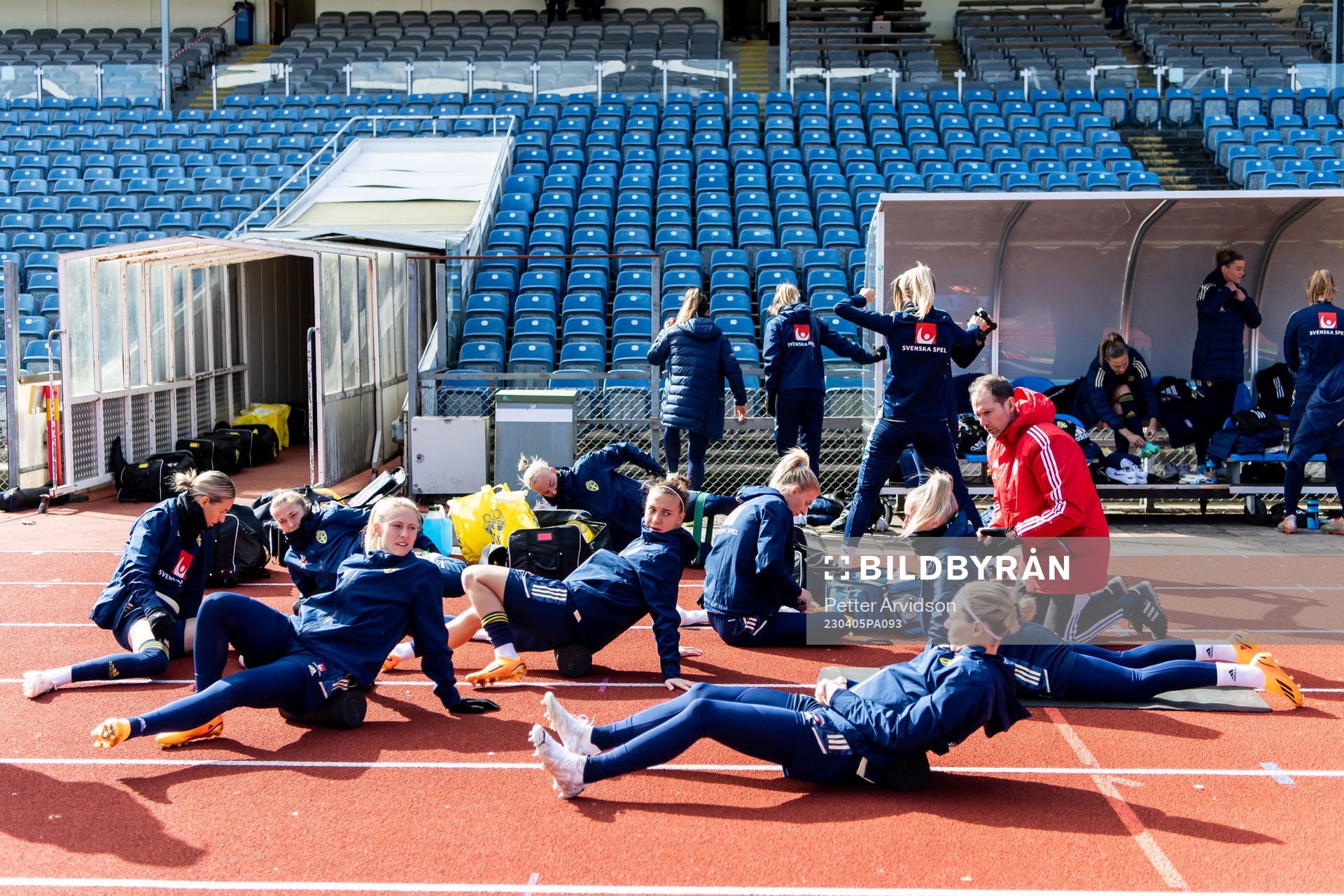 Players of Sweden