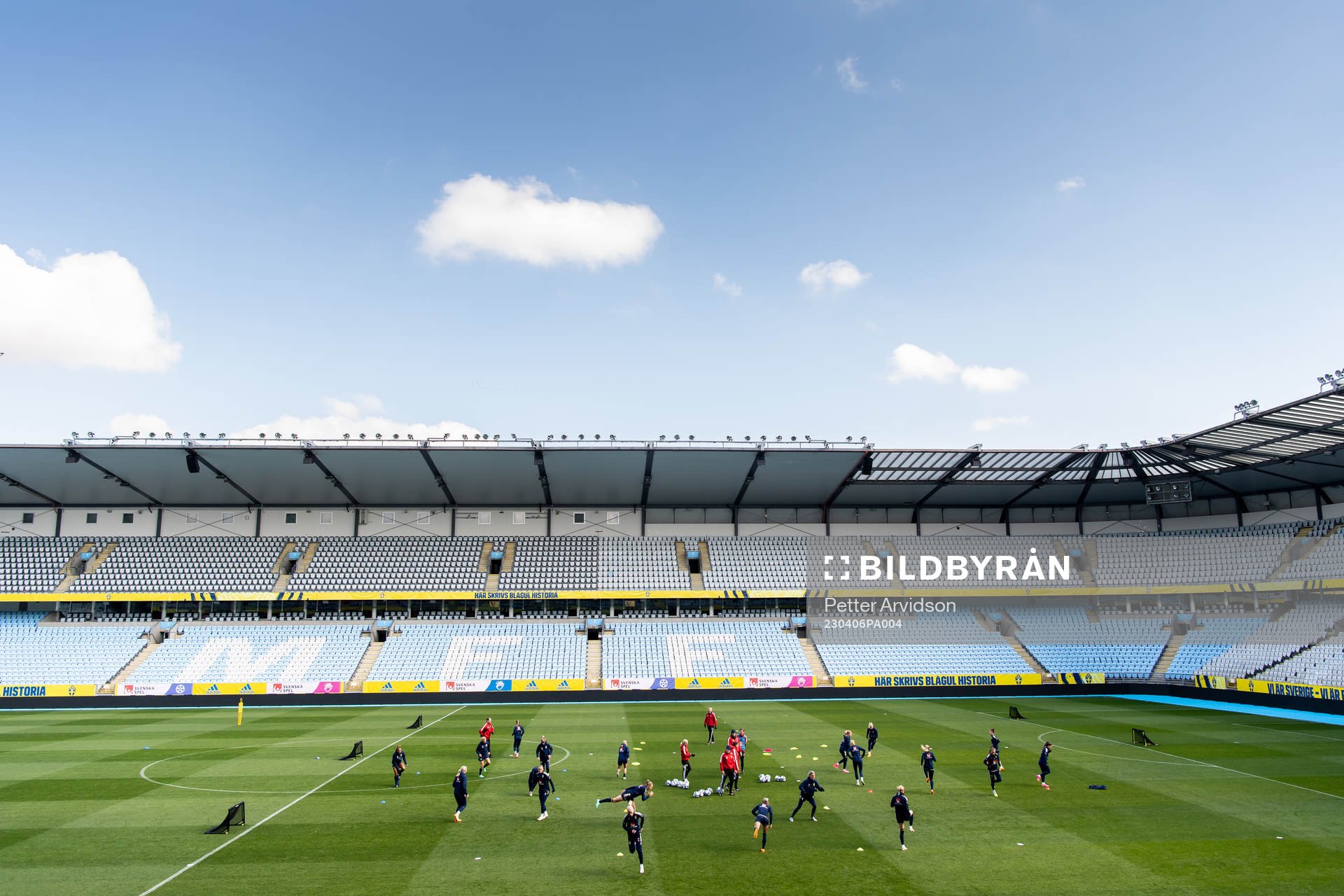 Players of Sweden