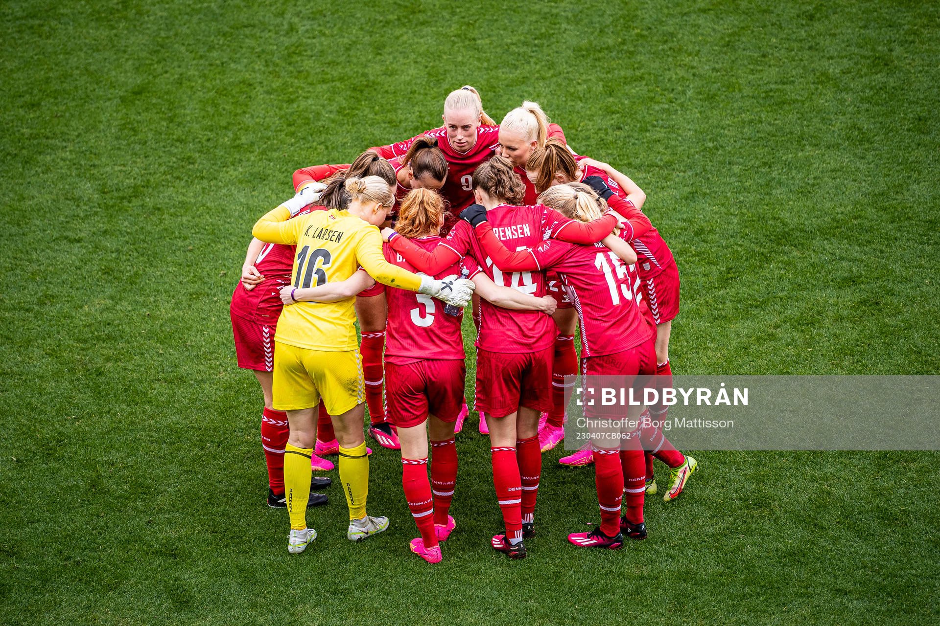 Players of Denmark are gathered