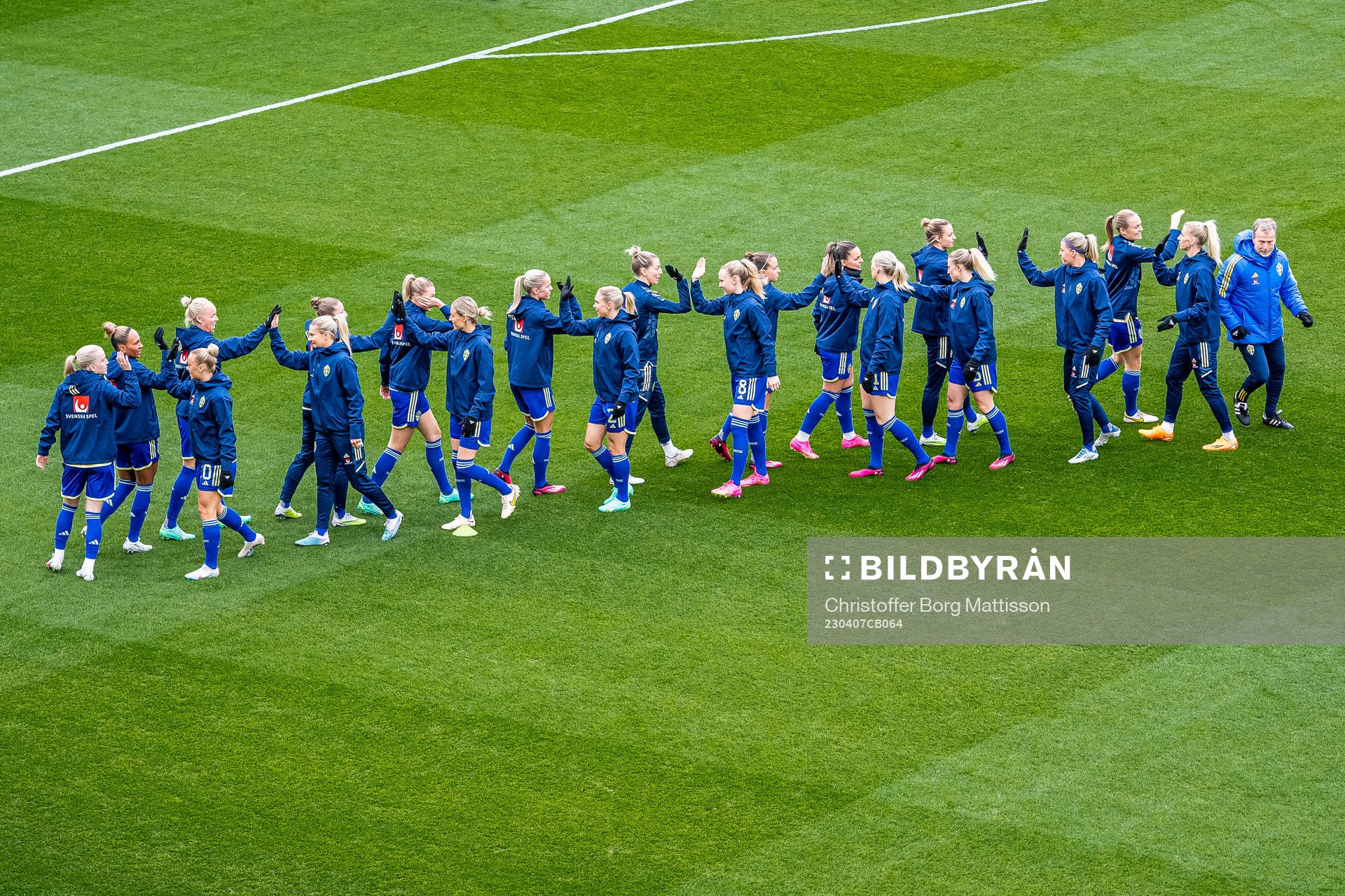Players of Sweden