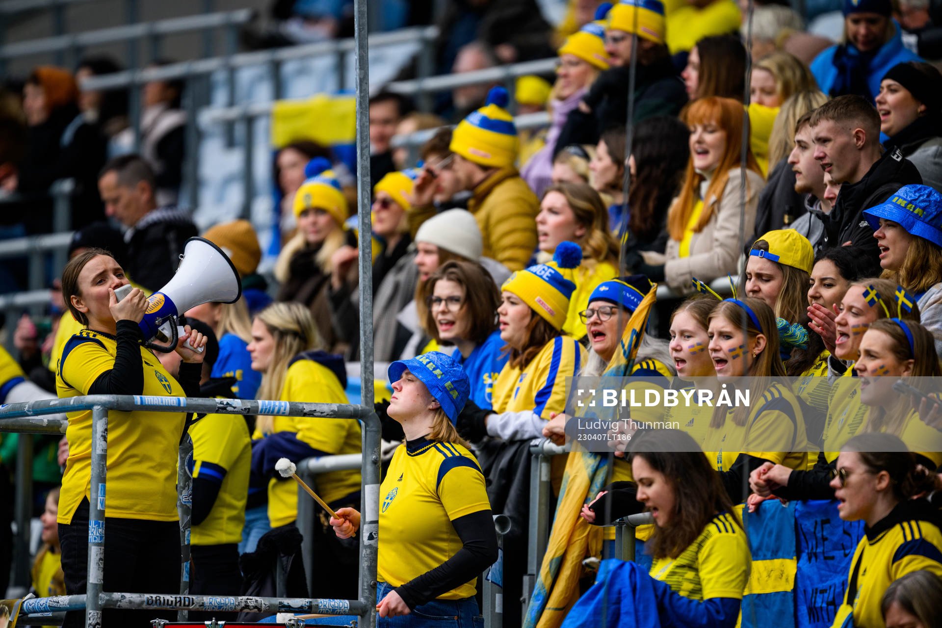 Supporters of Sweden