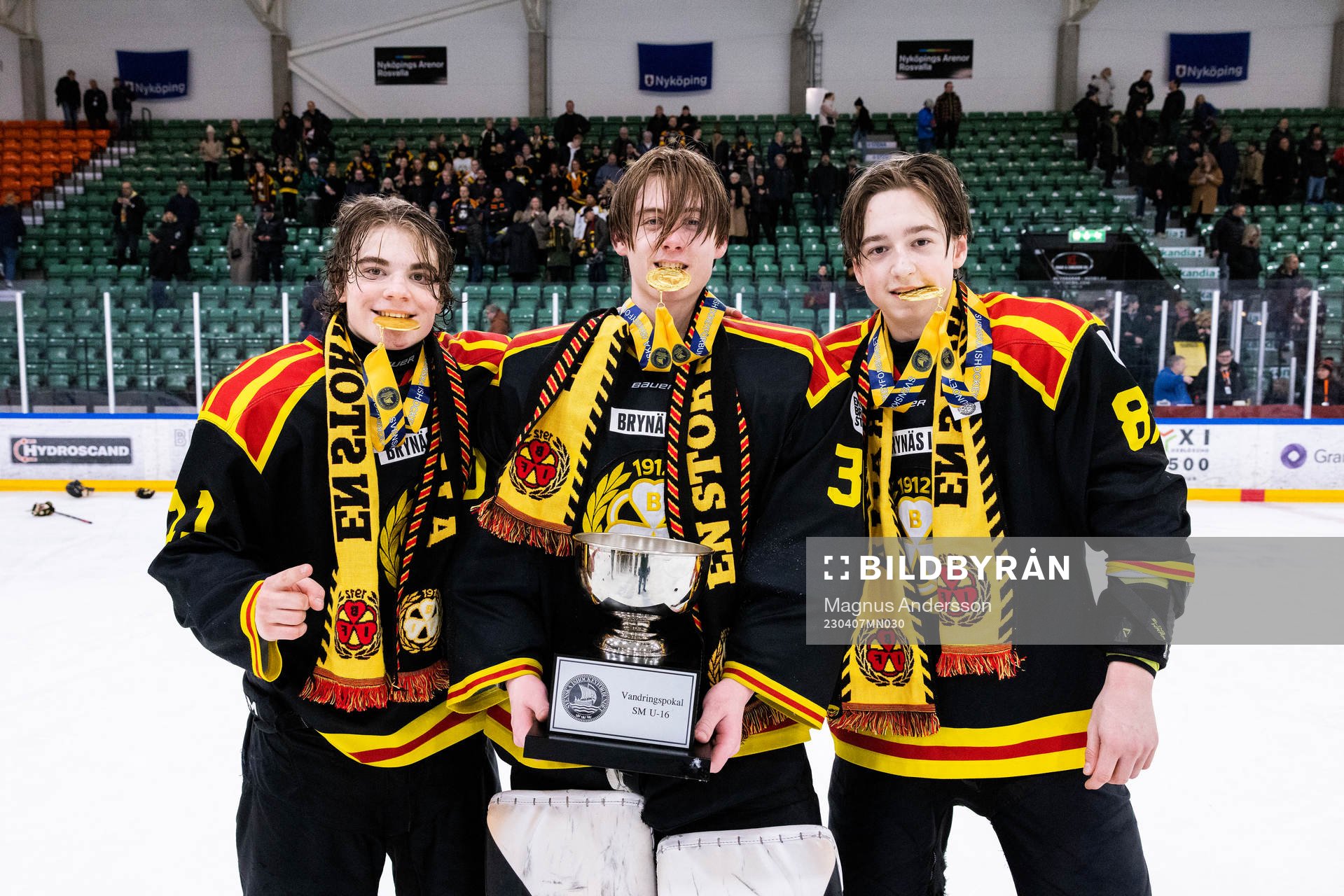 Brynäs Michal Svrcek, målvakt William Forsberg och Gustav