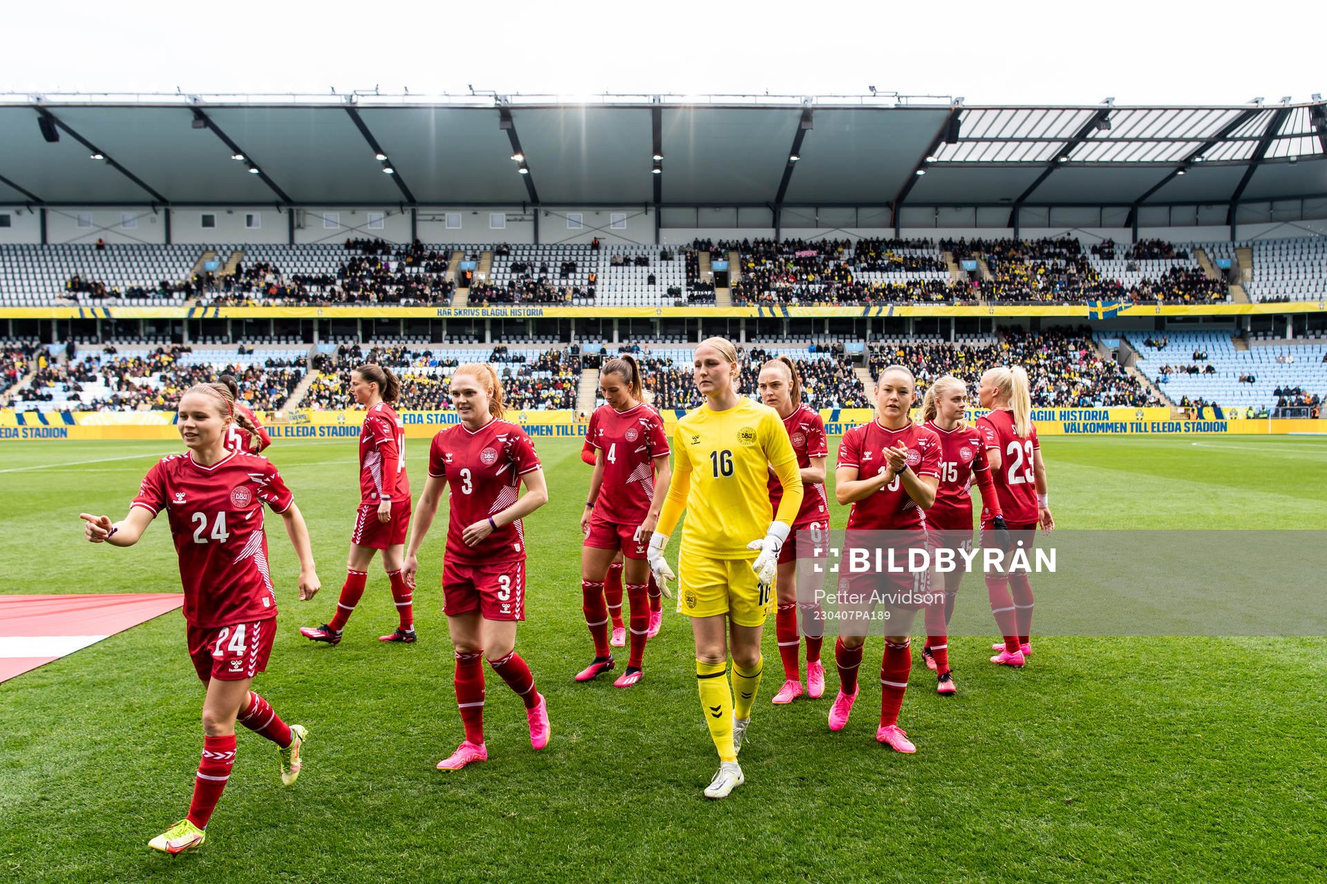Players of Denmark