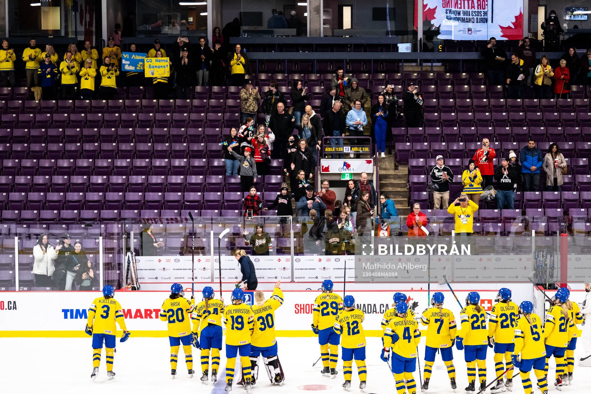 Players of Sweden