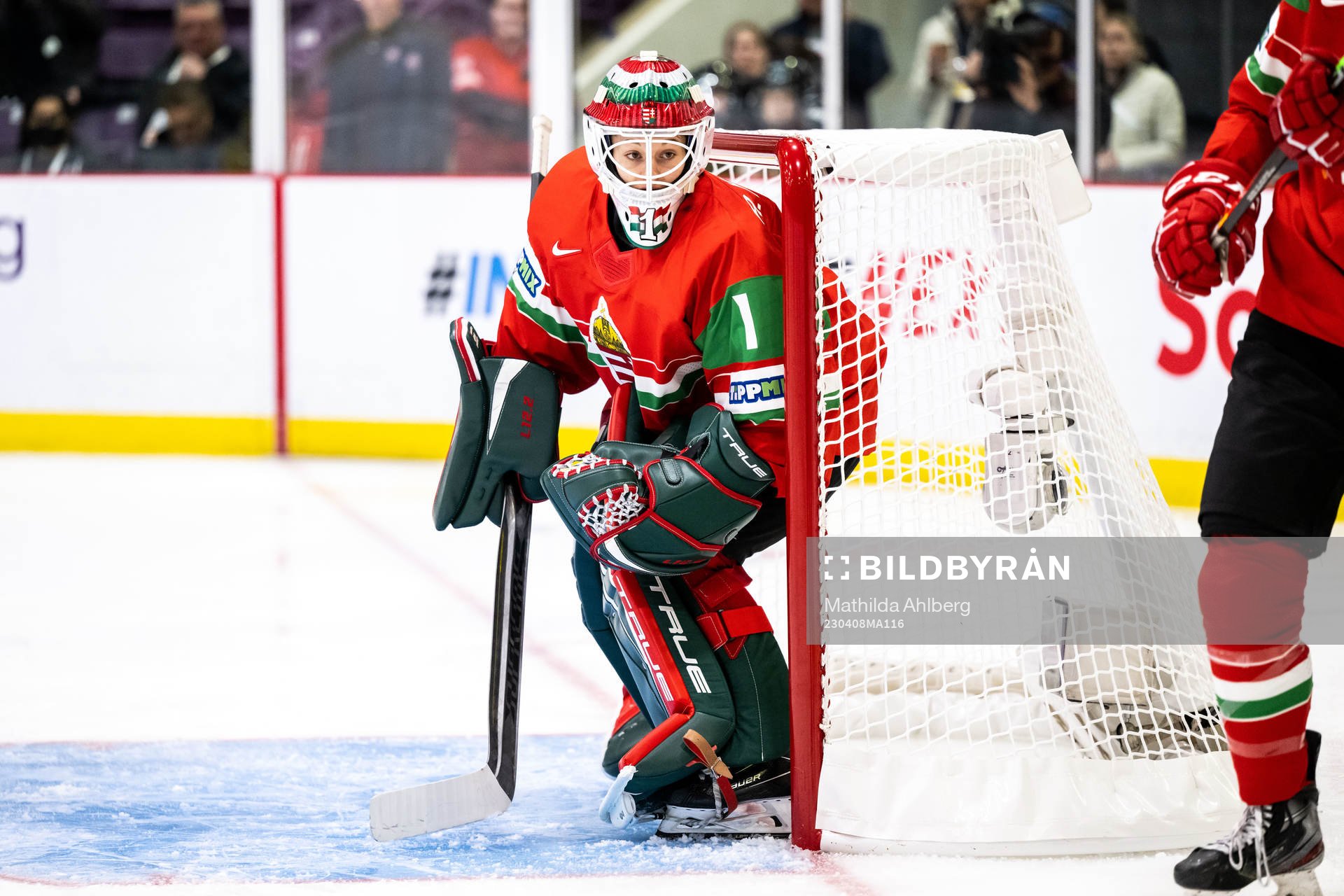 Goaltender Aniko Nemeth of Hungary