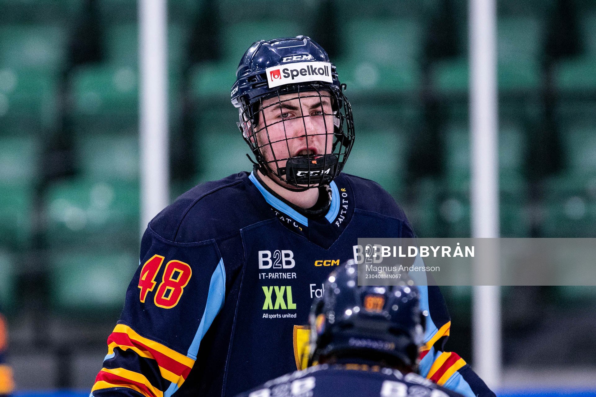 Djurgårdens Vilmer Alriksson