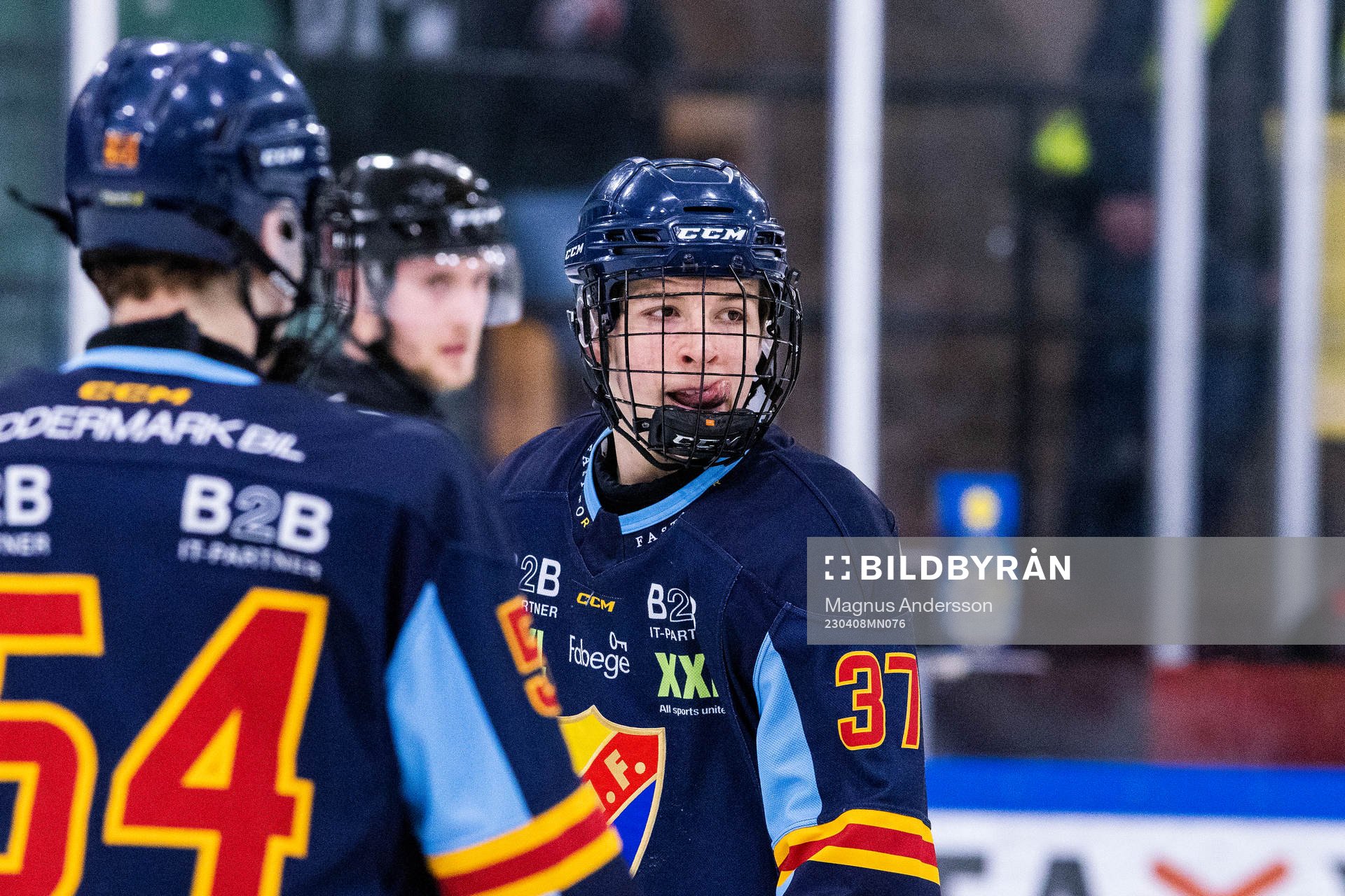 Djurgårdens Fred Nord