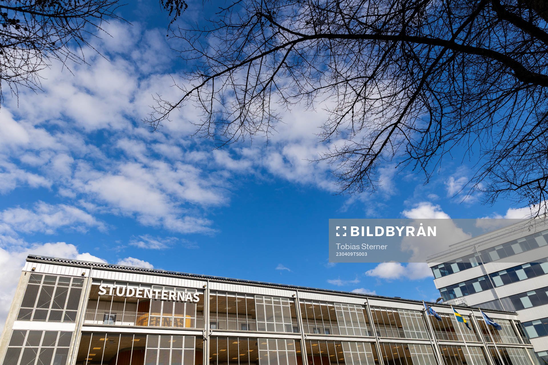 Studenternas