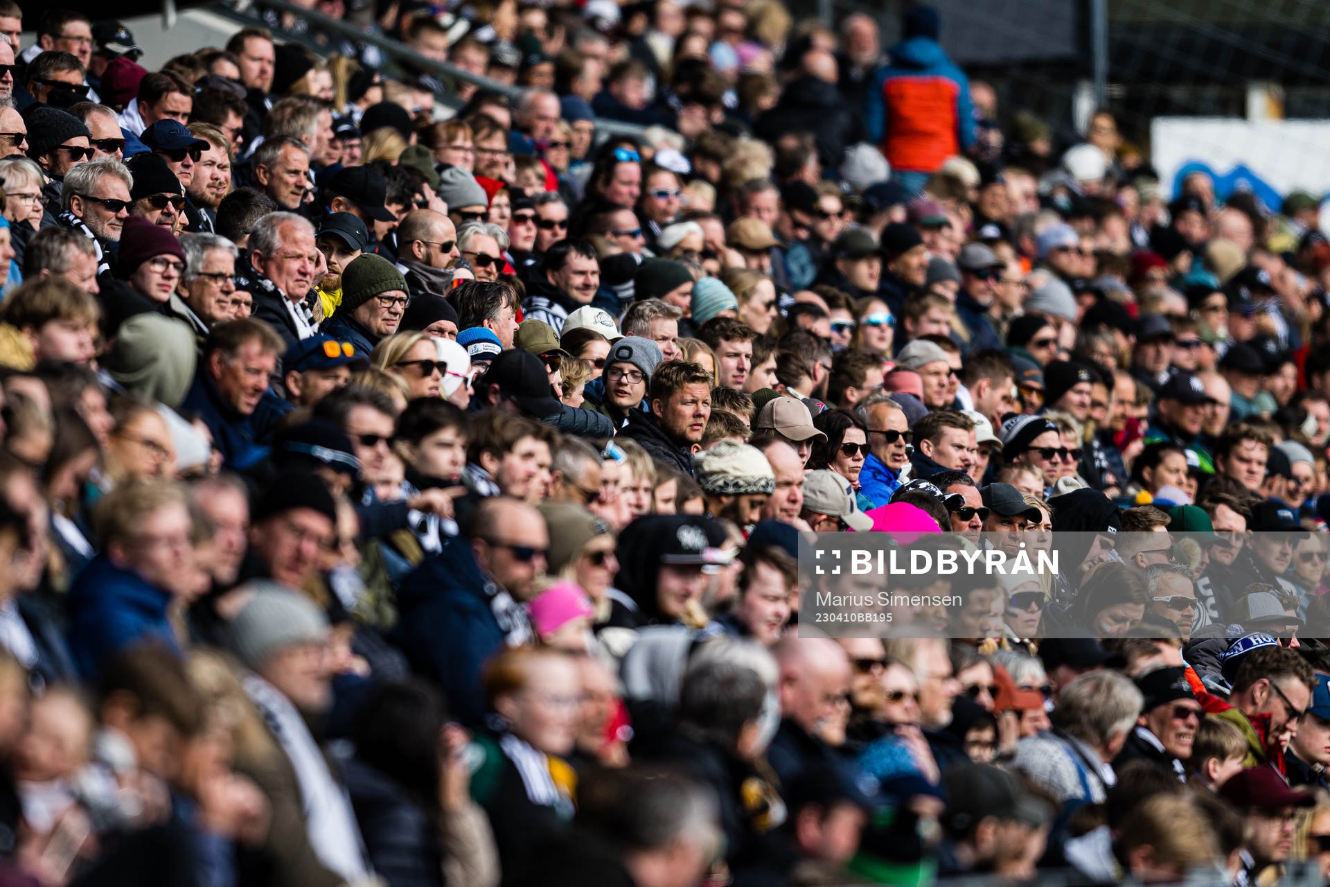 Spectators in the stands