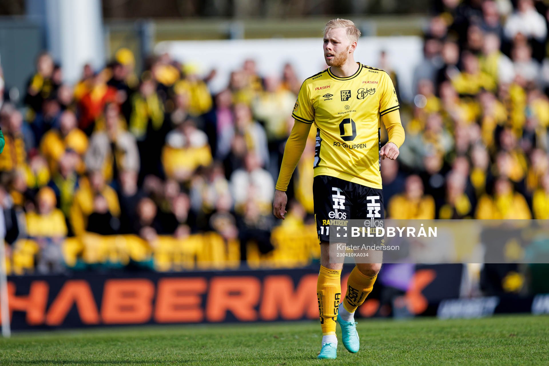 Elfsborgs Sveinn Guðjohnsen