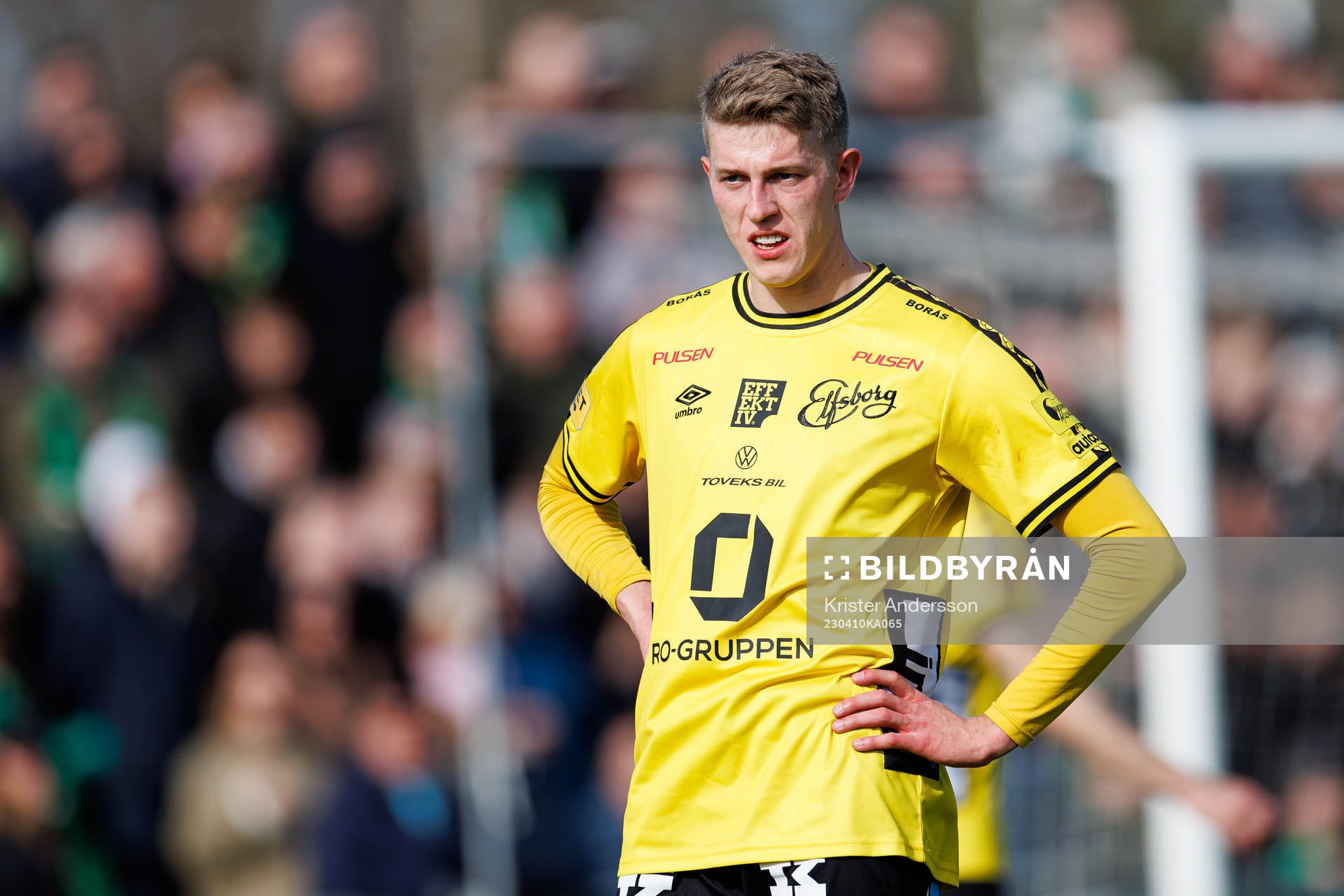 Elfsborgs Alexander Bernhardsson