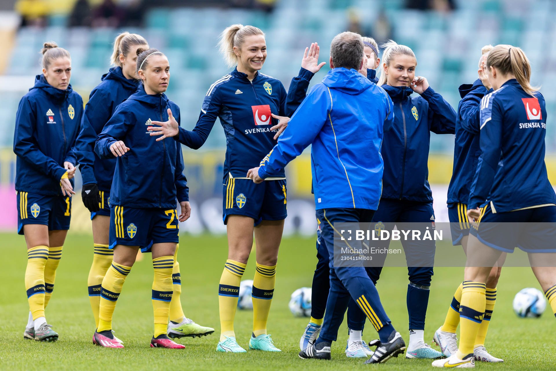 Players of Sweden