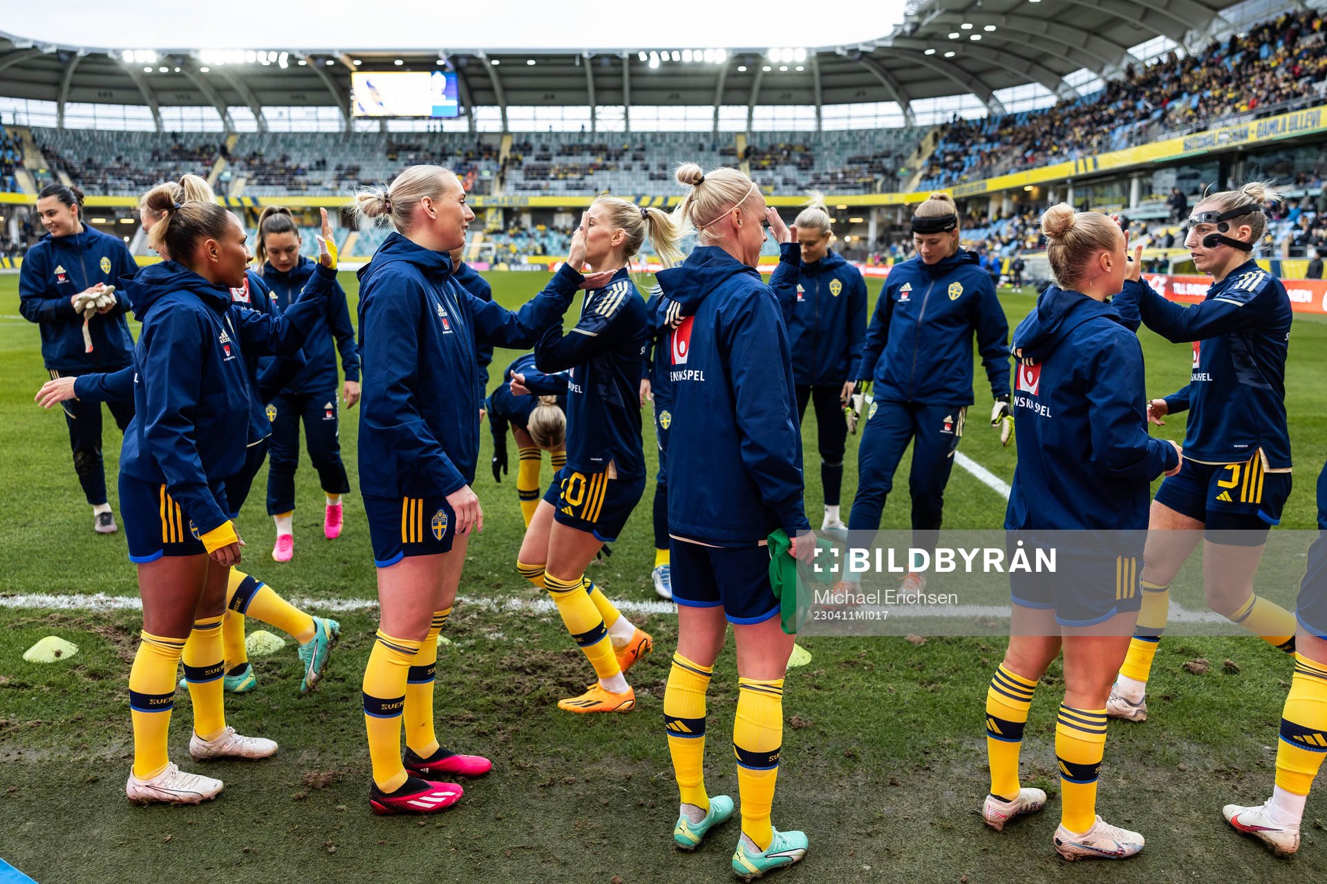 Players of Sweden
