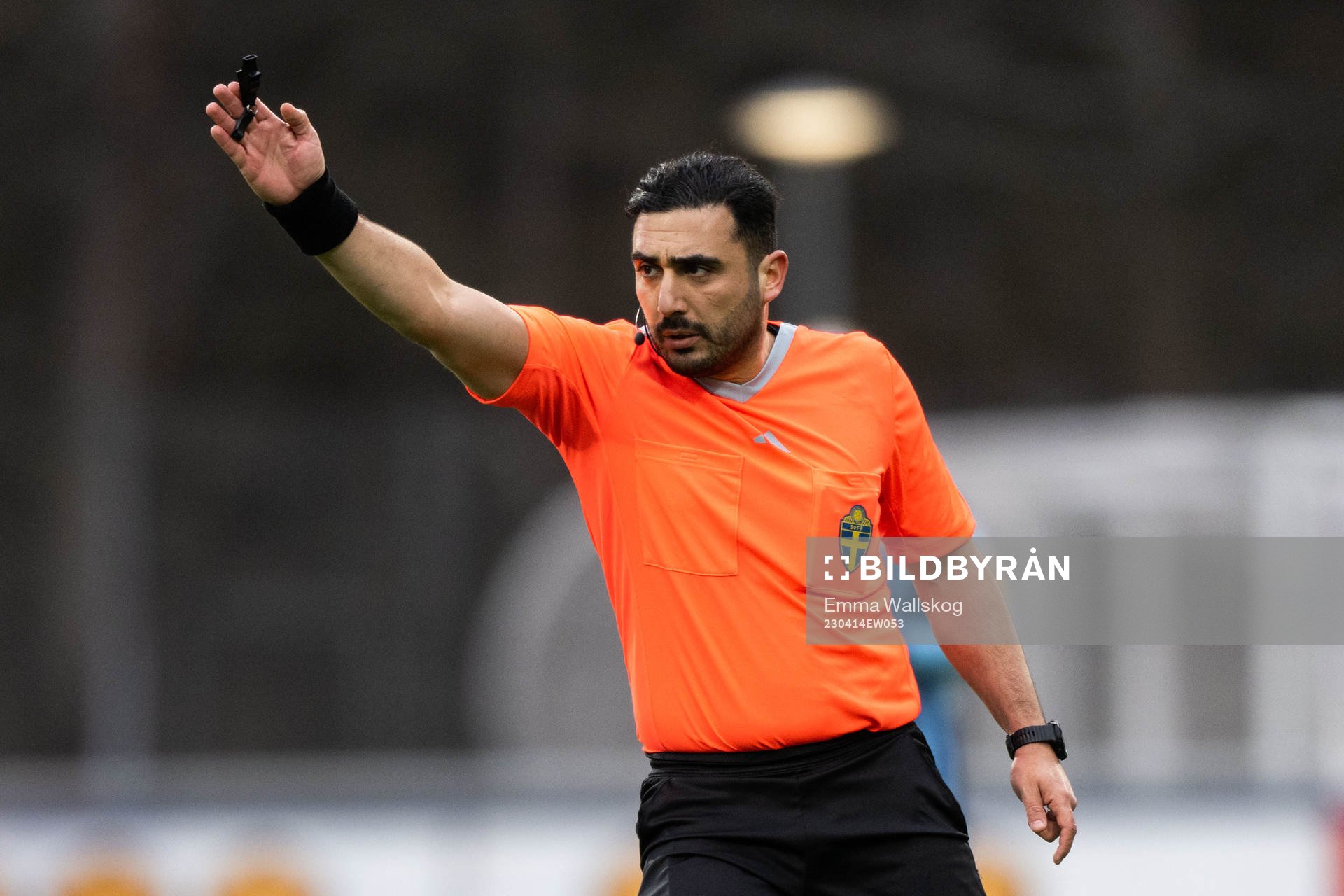 Domare Paul Shamoun