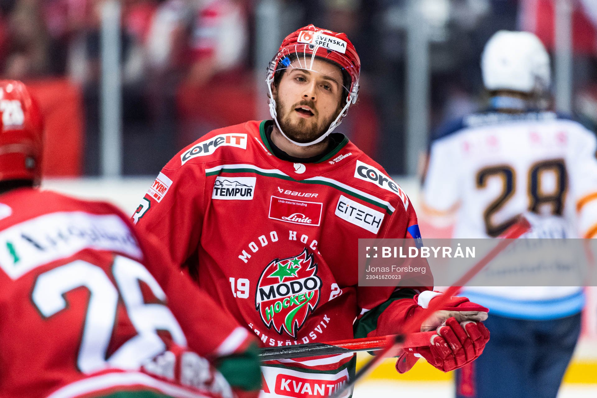 Modos Nicholas Halloran