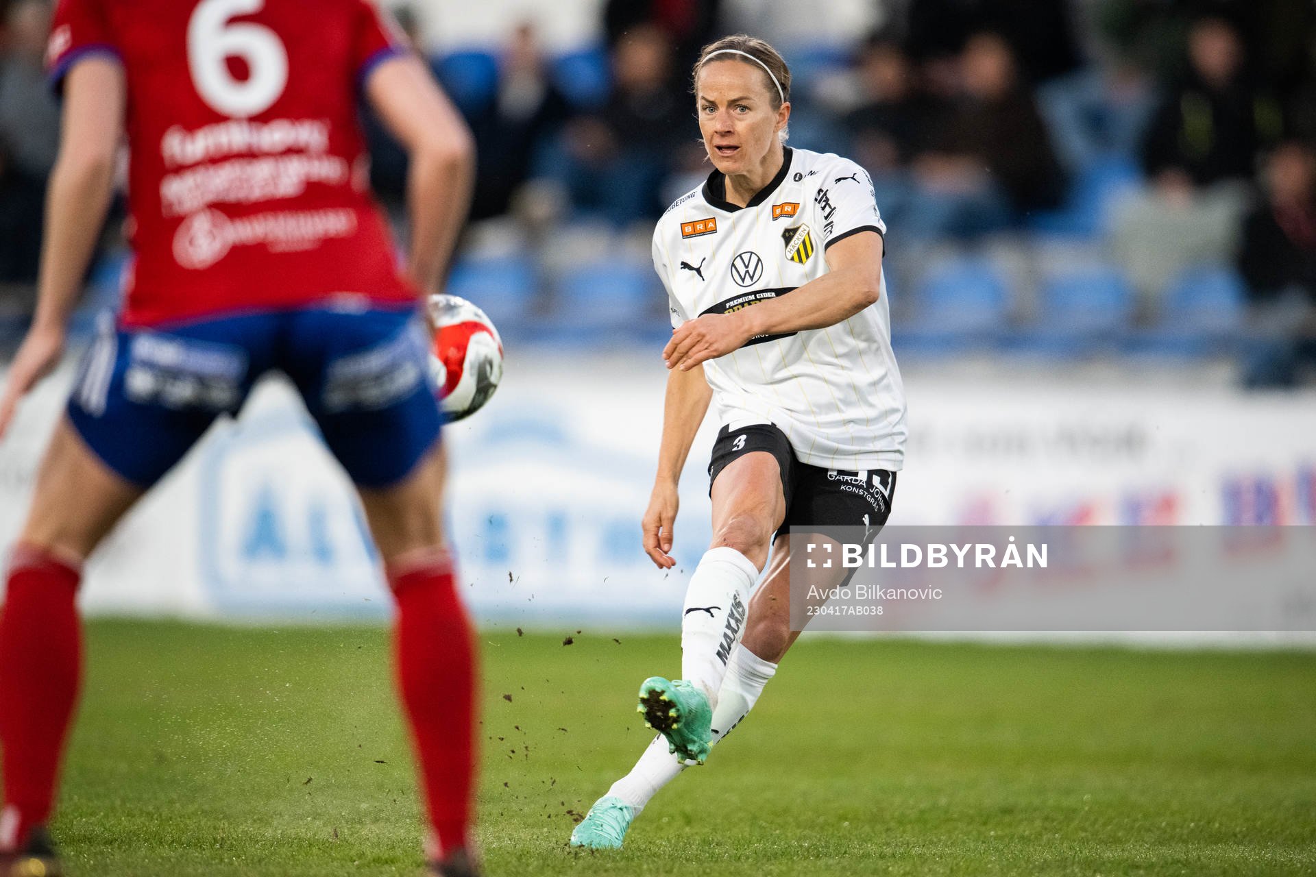 Häckens Aivi Luik