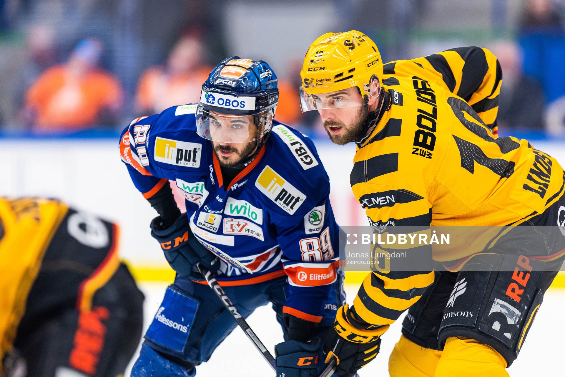 Växjös Jayden Halbgewachs och Skellefteås Joakim