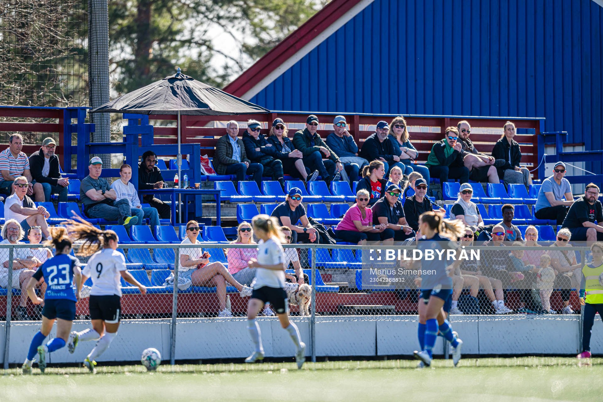 Spectators in the stands