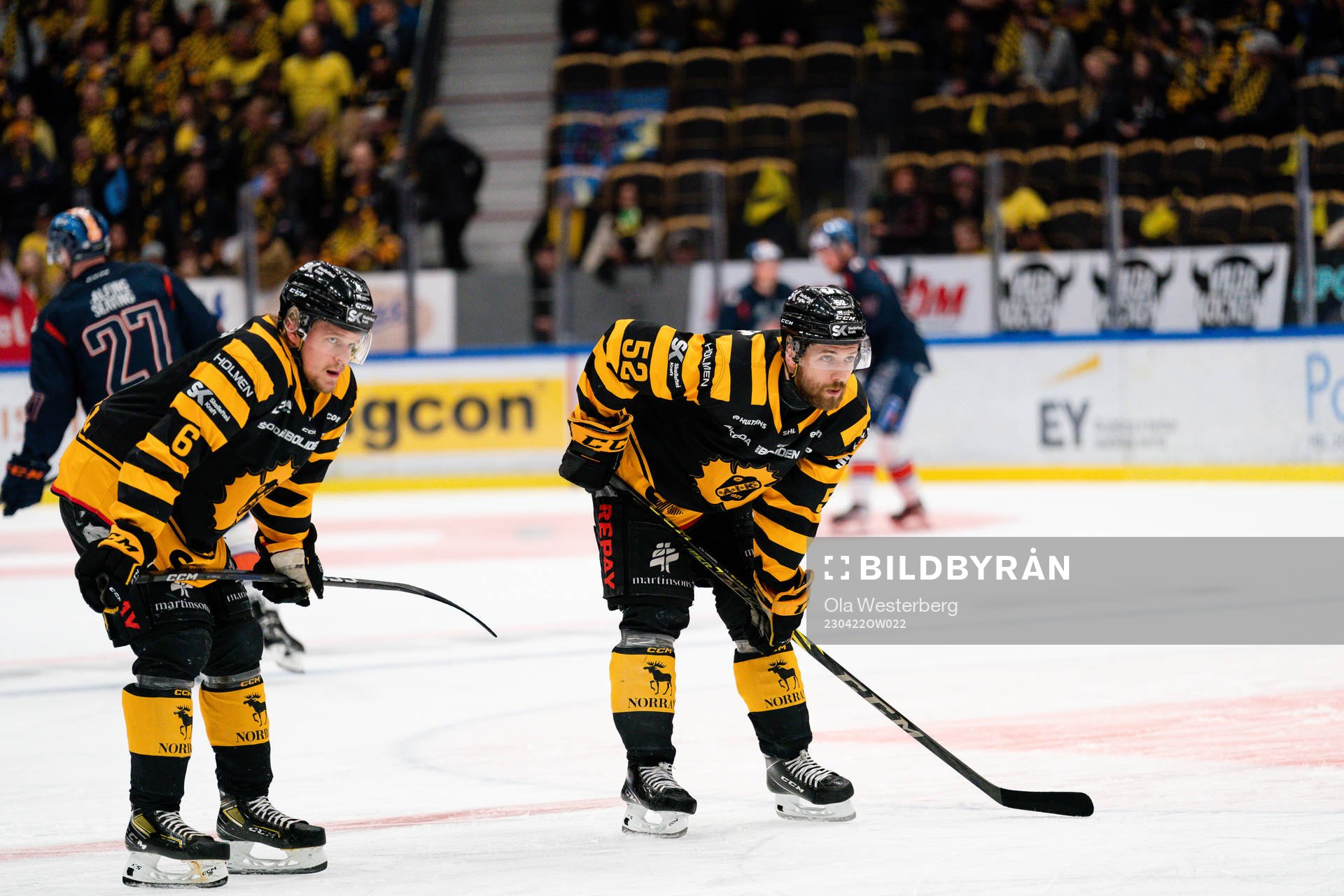 Skellefteås Måns Forsfjäll och Arvid Lundberg