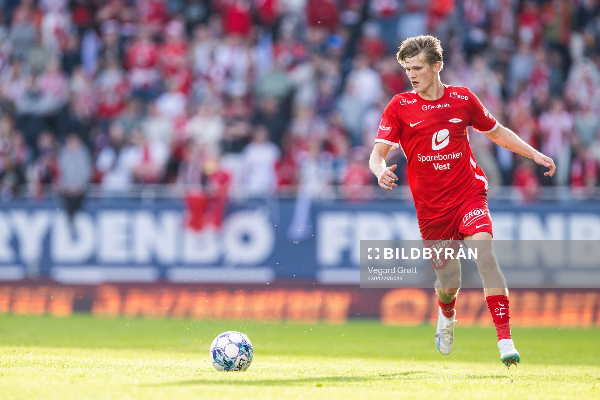 David Møller Wolfe of Brann