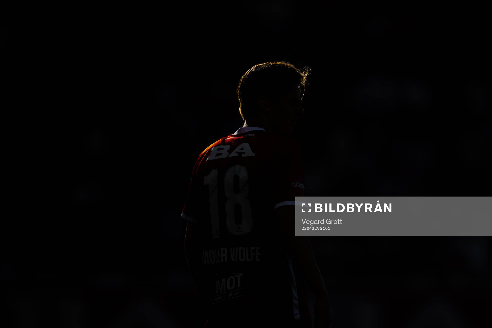 David Møller Wolfe of Brann