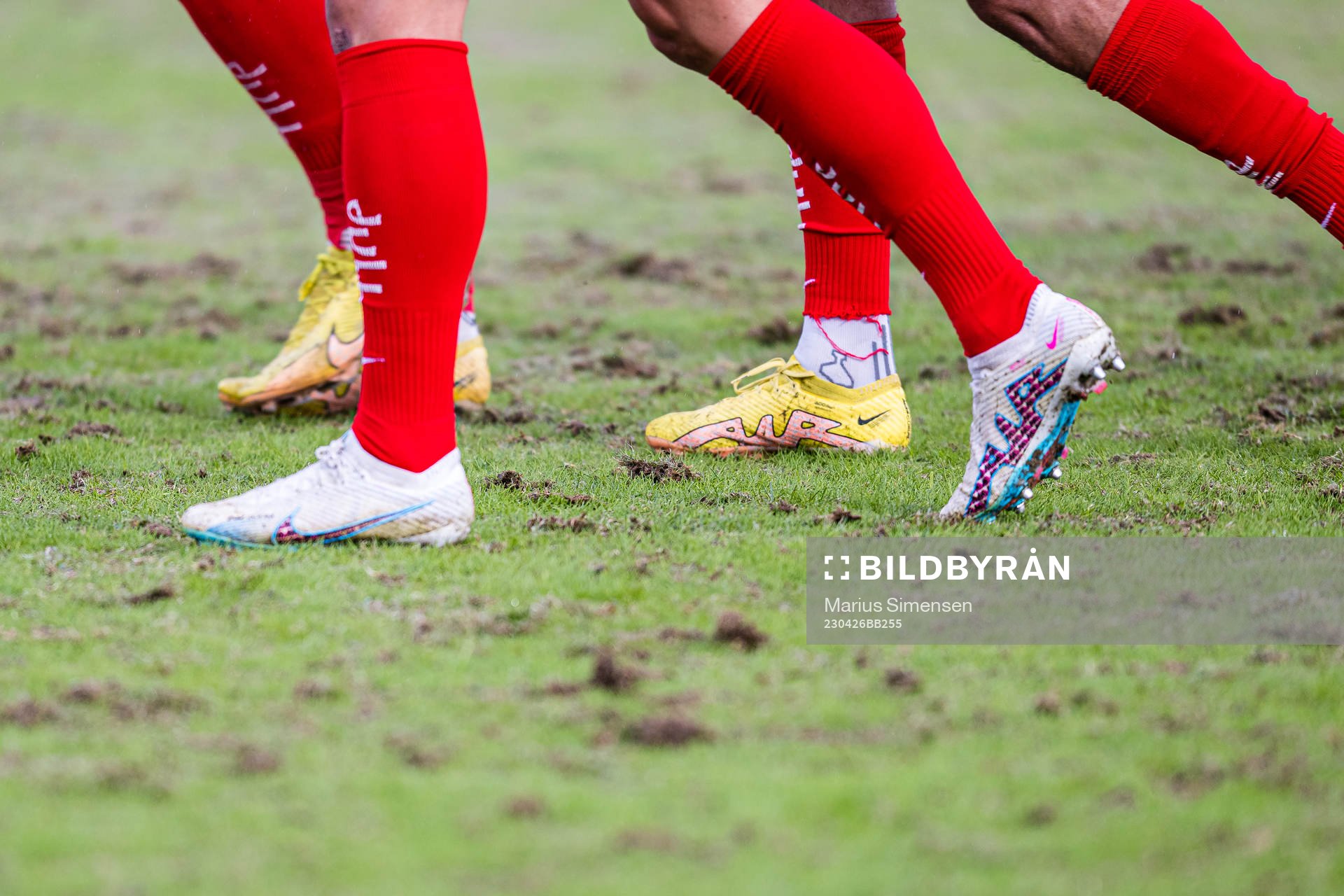 Quality of the grass at Nadderud Stadion