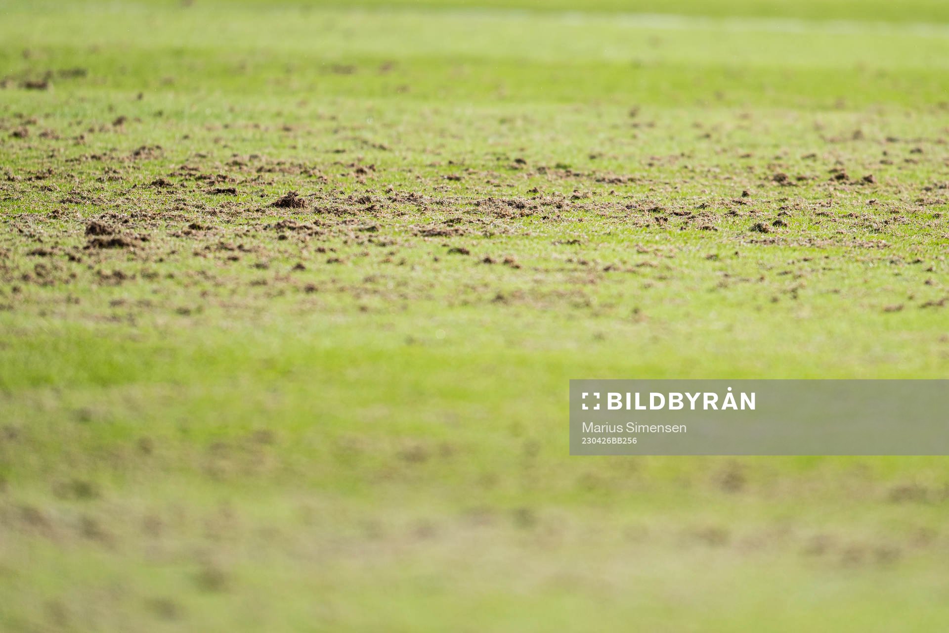 Quality of the grass at Nadderud Stadion ahead of the cup match between Stabæk and Brann on April 26, 2023 in Bekkestua.