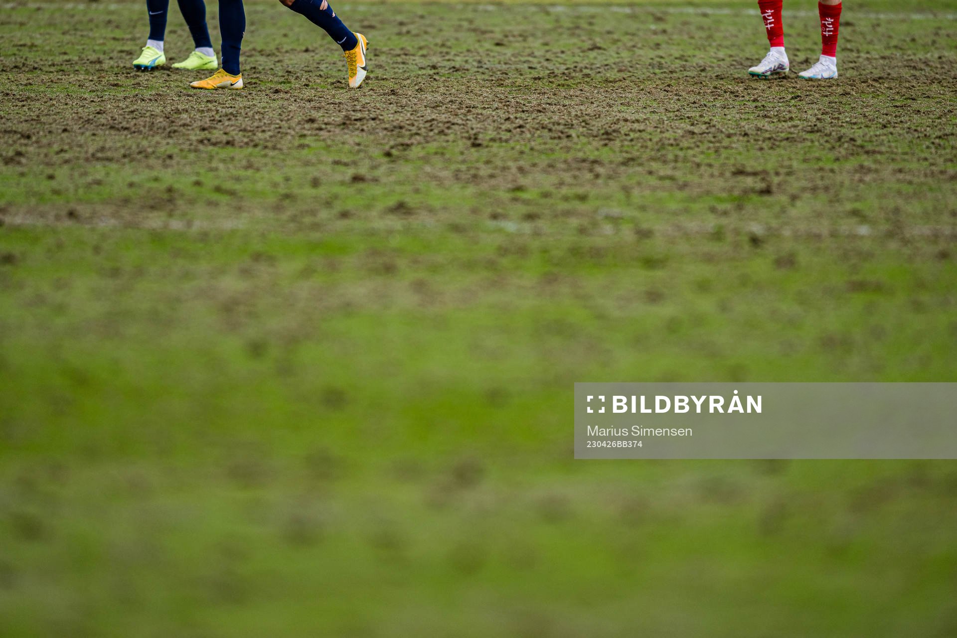 Quality of the grass