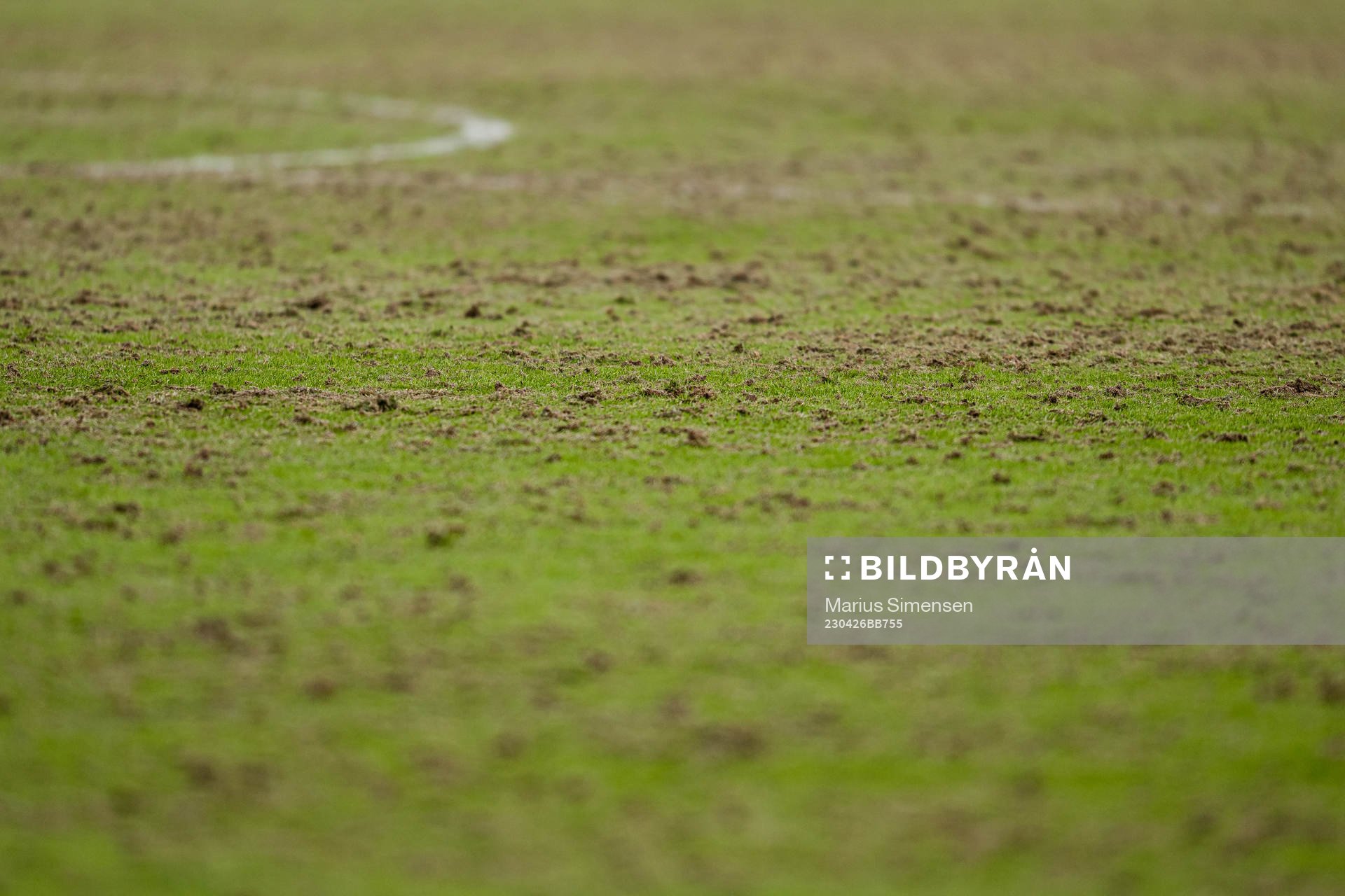 Quality of the grass at Nadderud