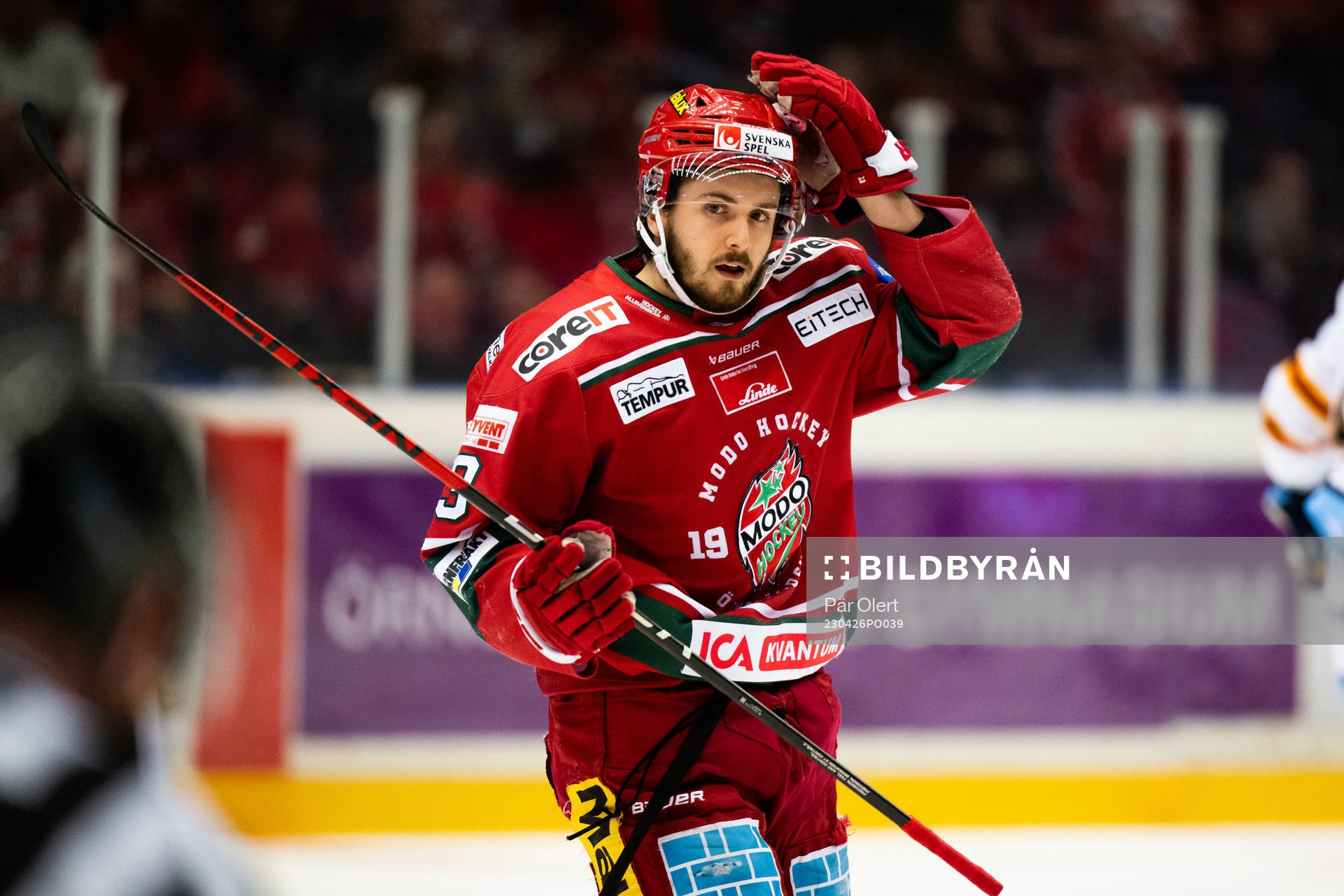 Modos Nicholas Halloran