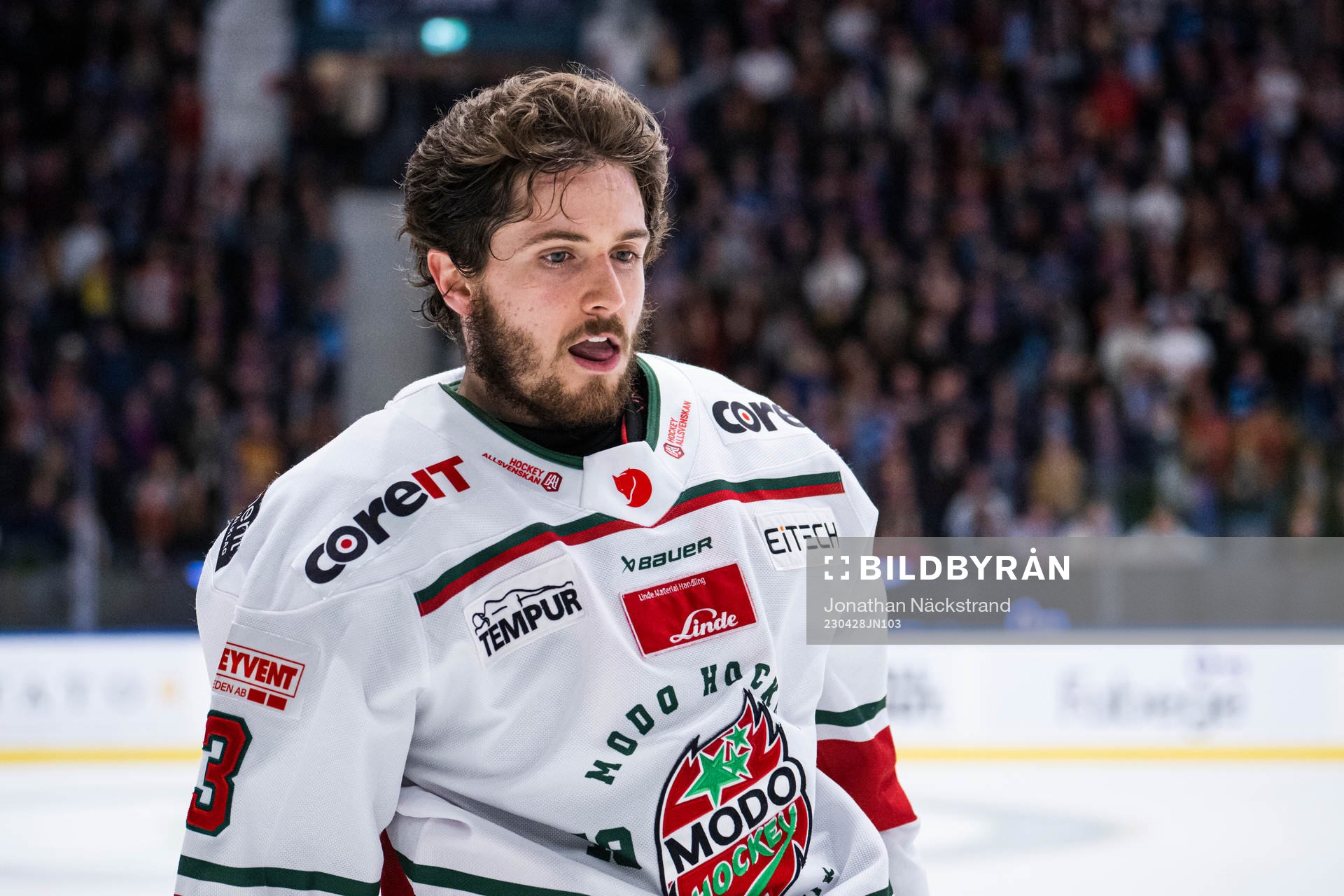 Modos Nicholas Halloran