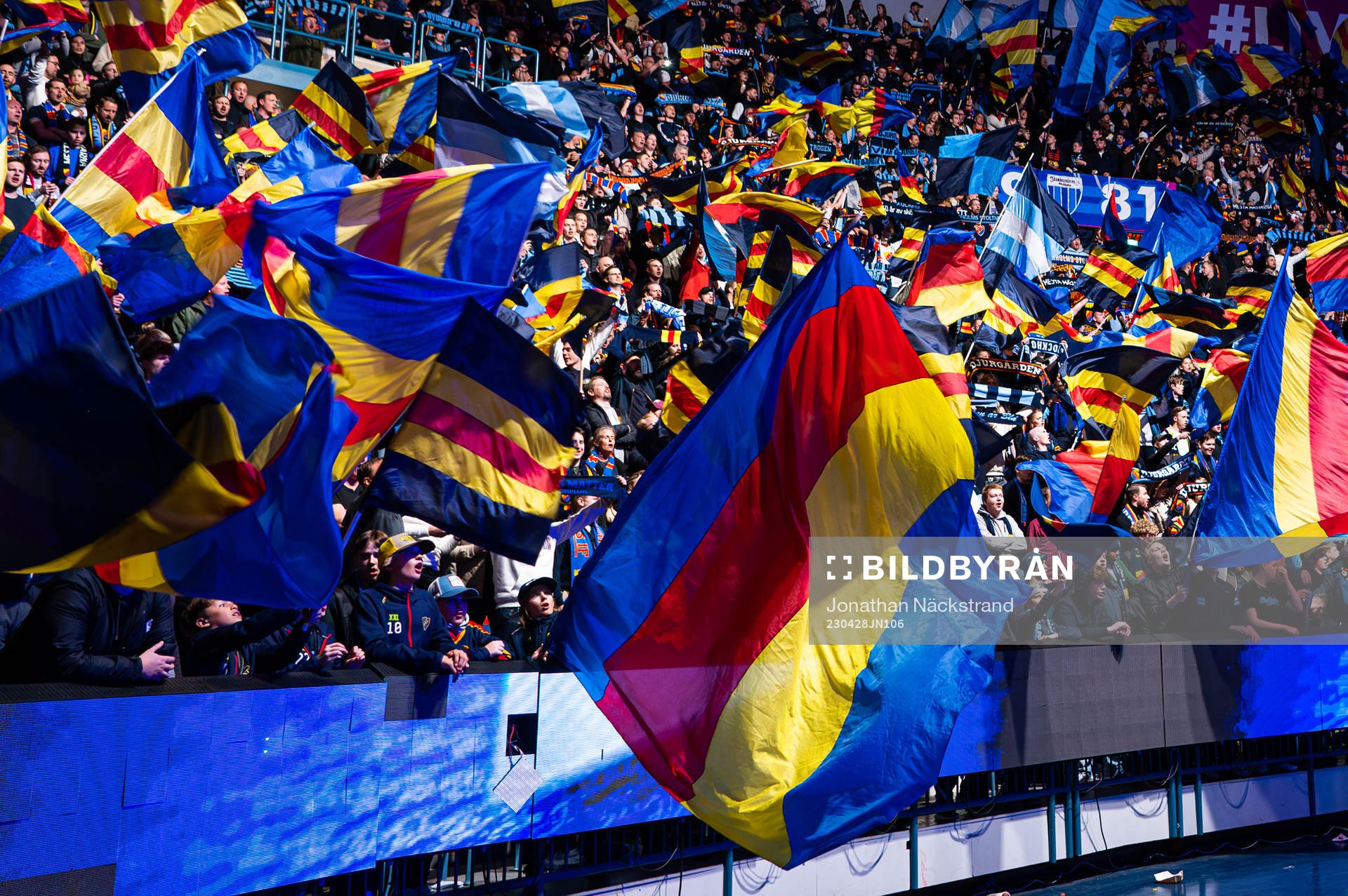 Djurgårdens supportrar