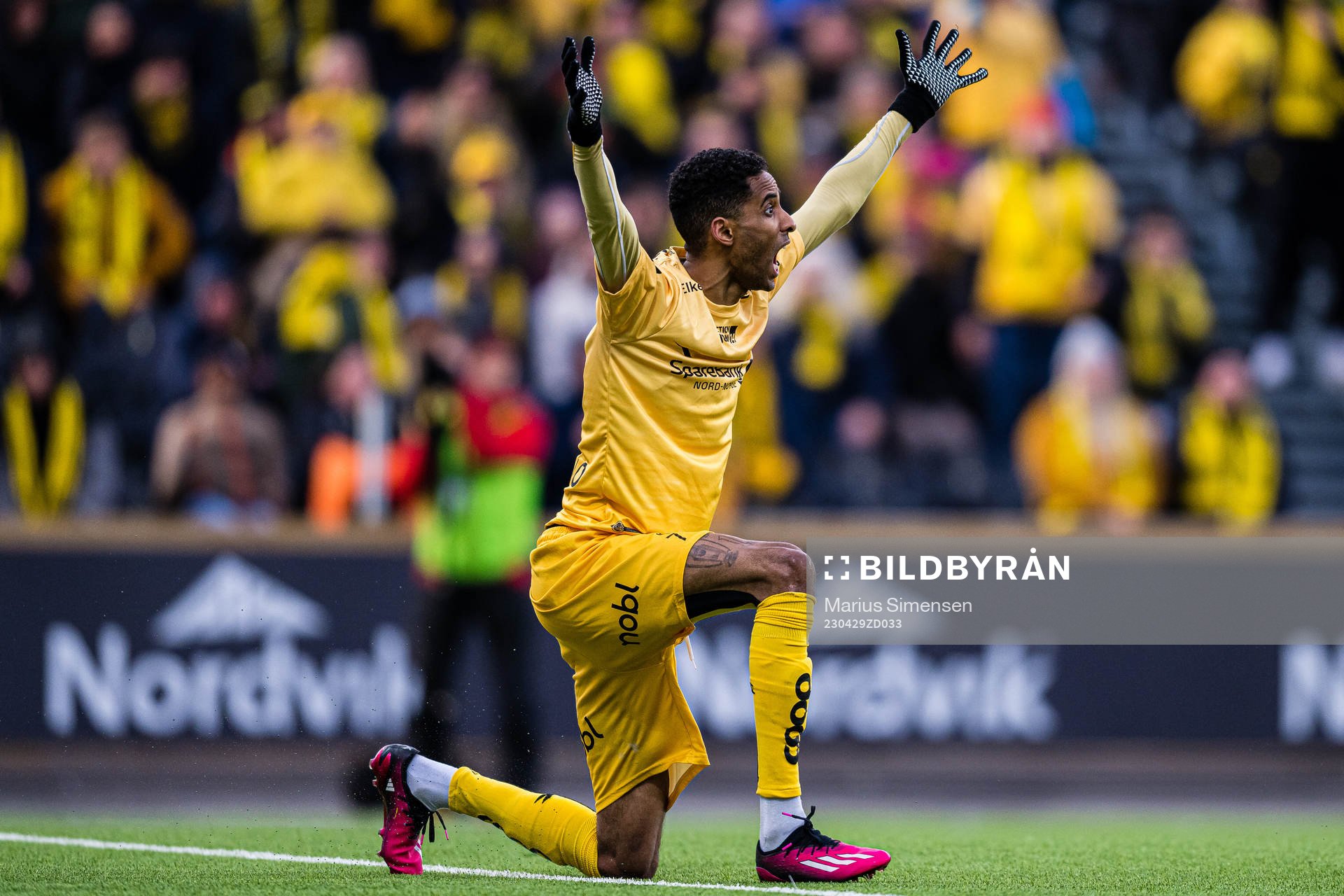 Amahl Pellegrino of Bodø/Glimt reacts